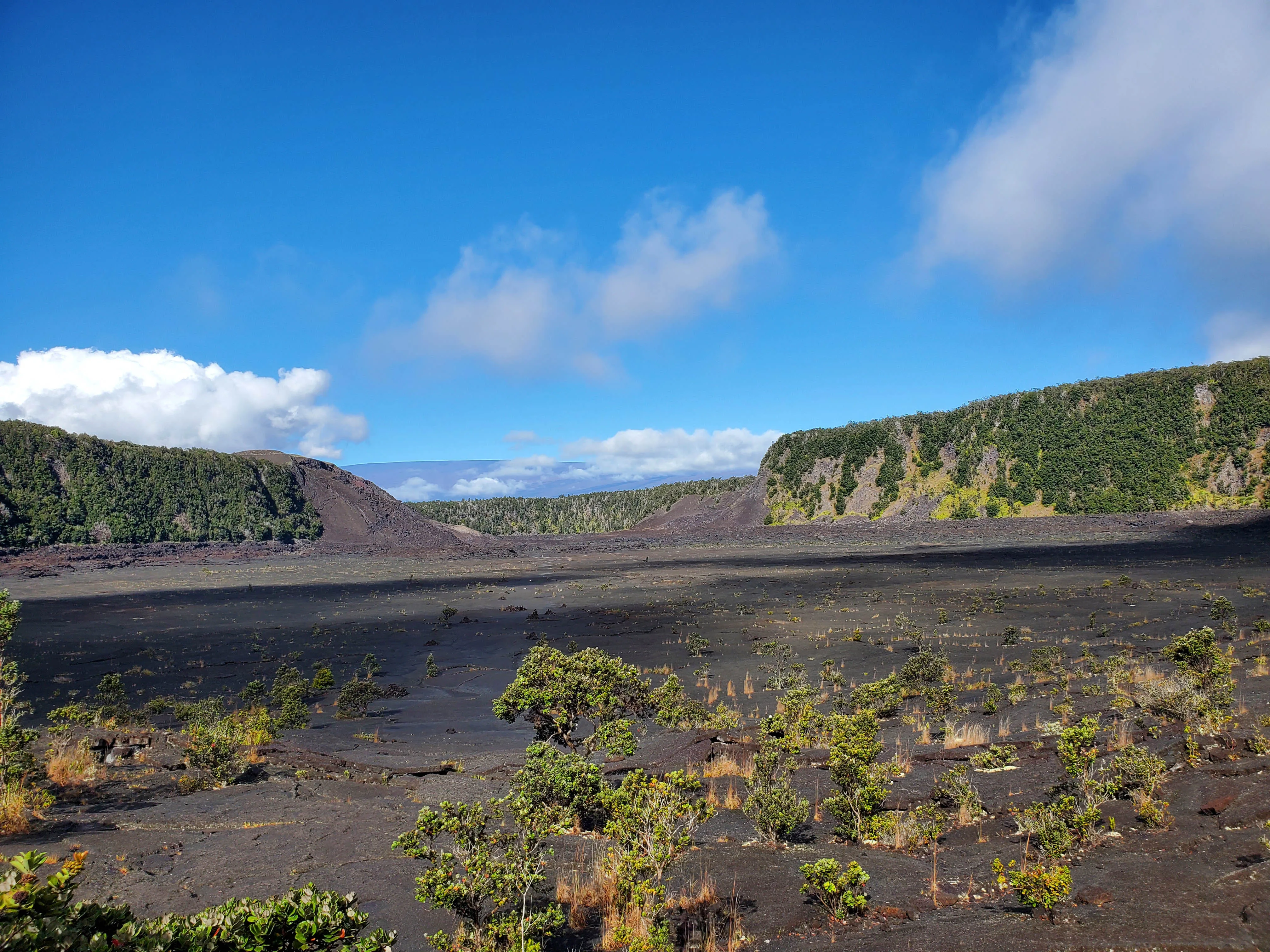 Hawaii Island (Big Island) landscape