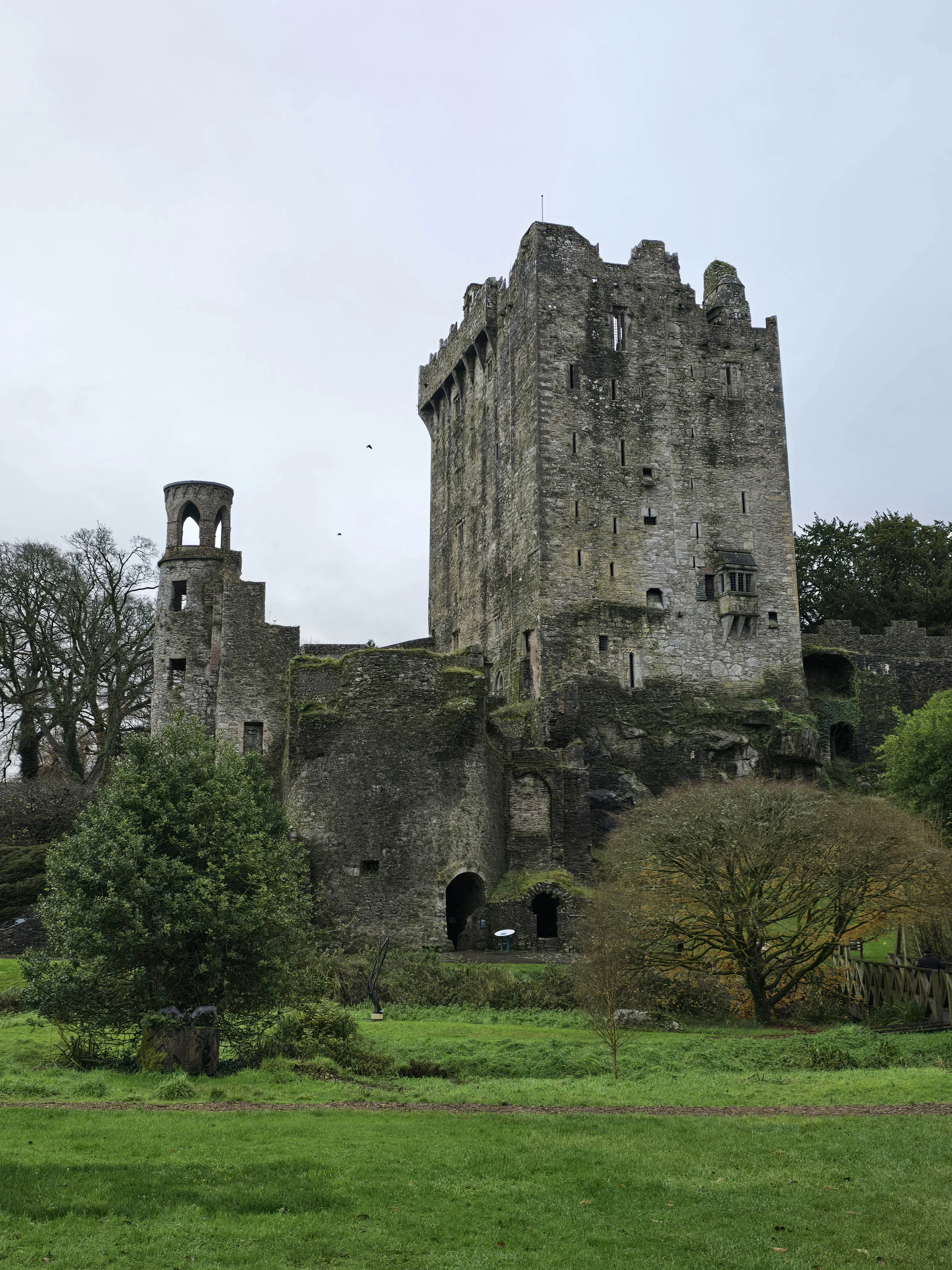 Dublin to Rock of Cashel, Cork, and Blarney Castle Guided Tour