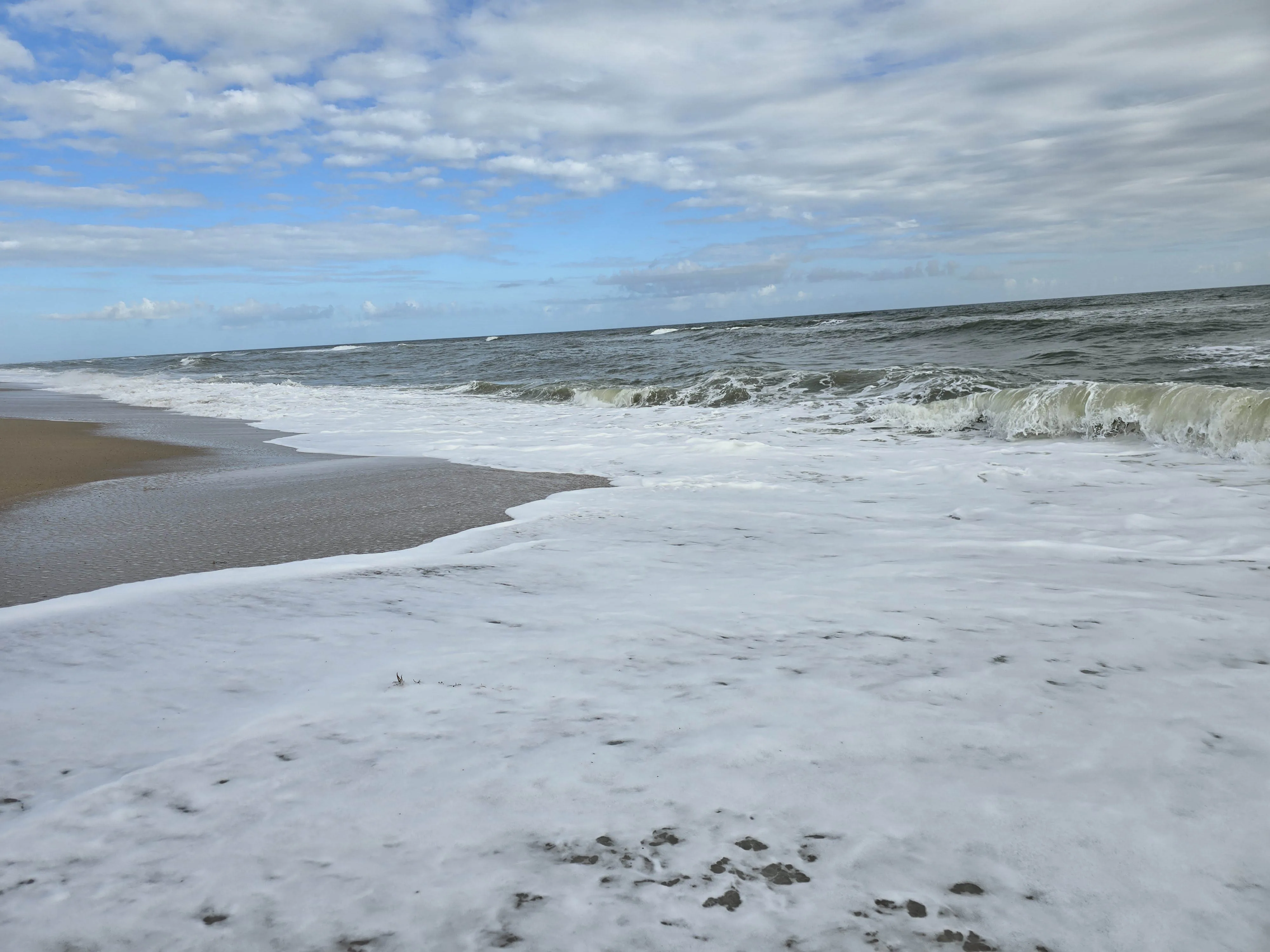 Canaveral National Seashore