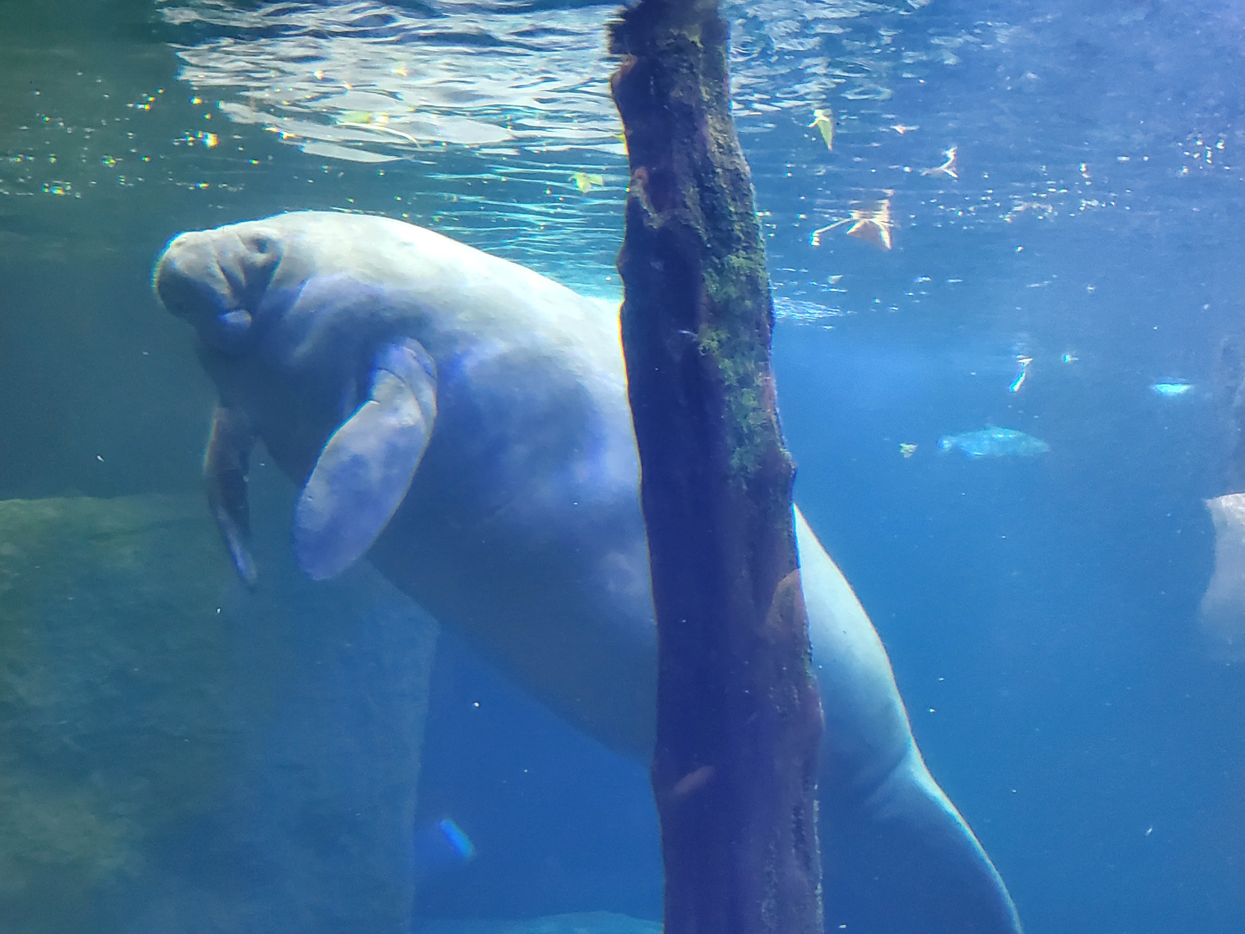 Dallas world Aquarium