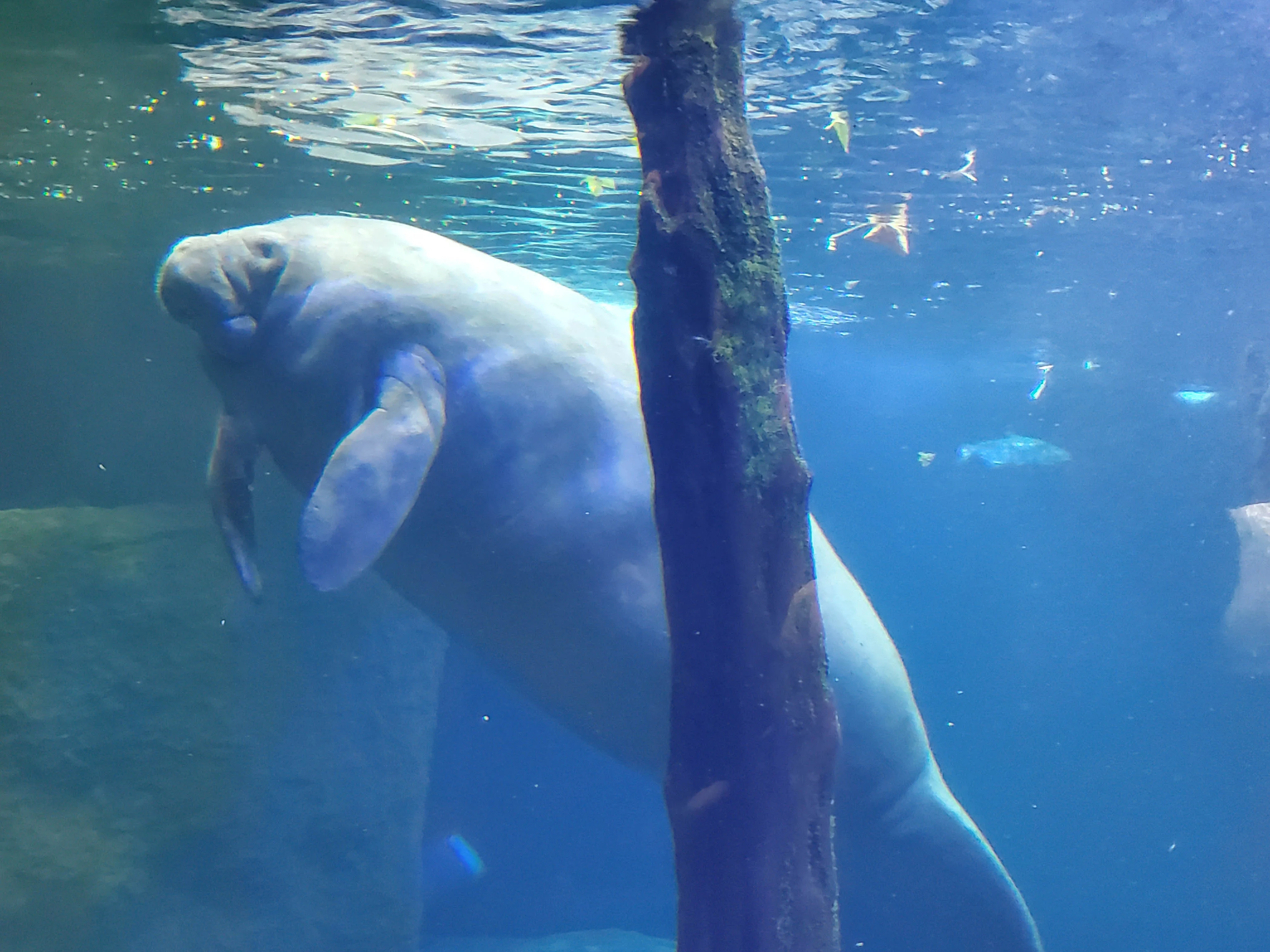 Dallas world Aquarium