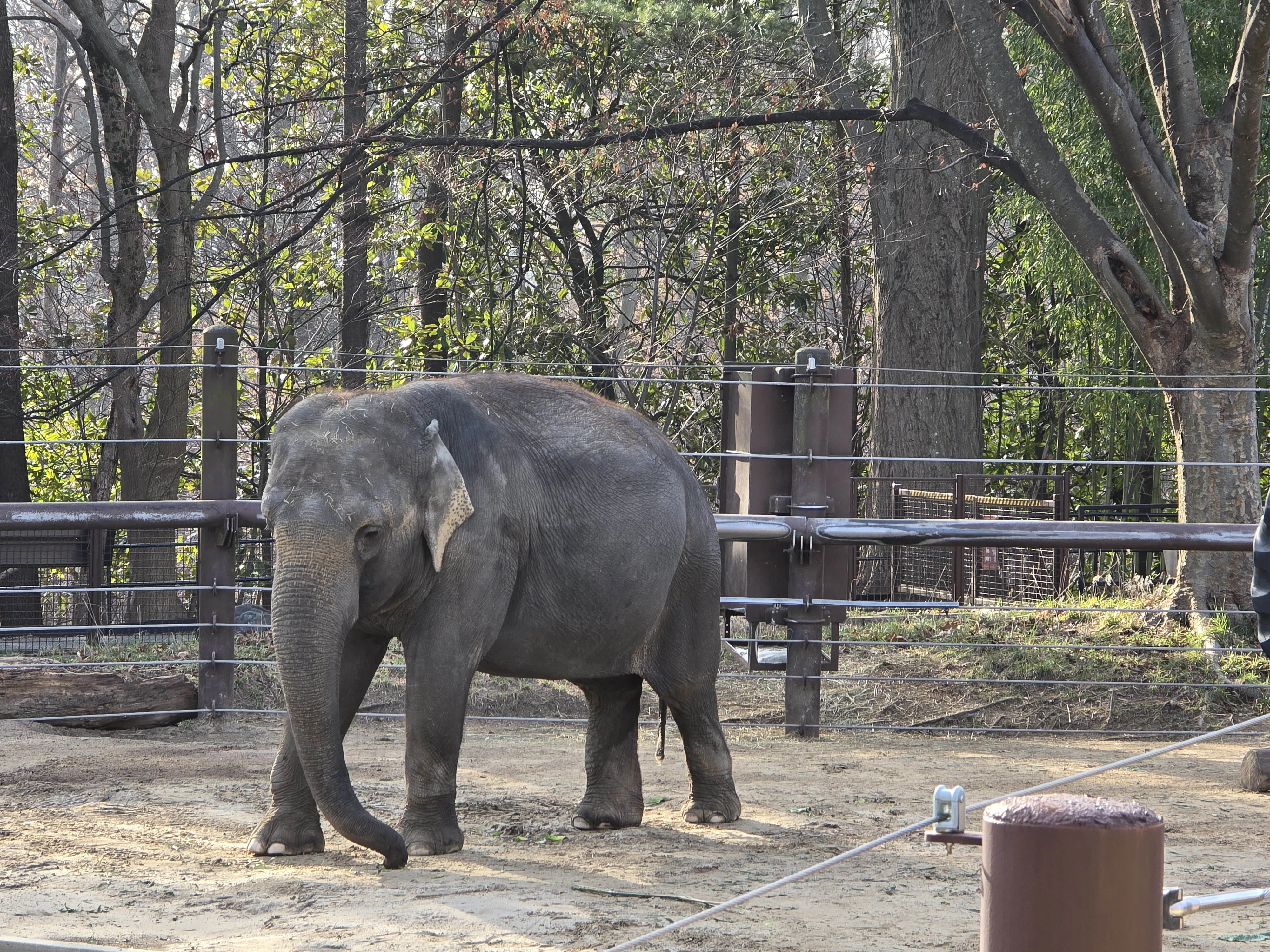 National Zoo