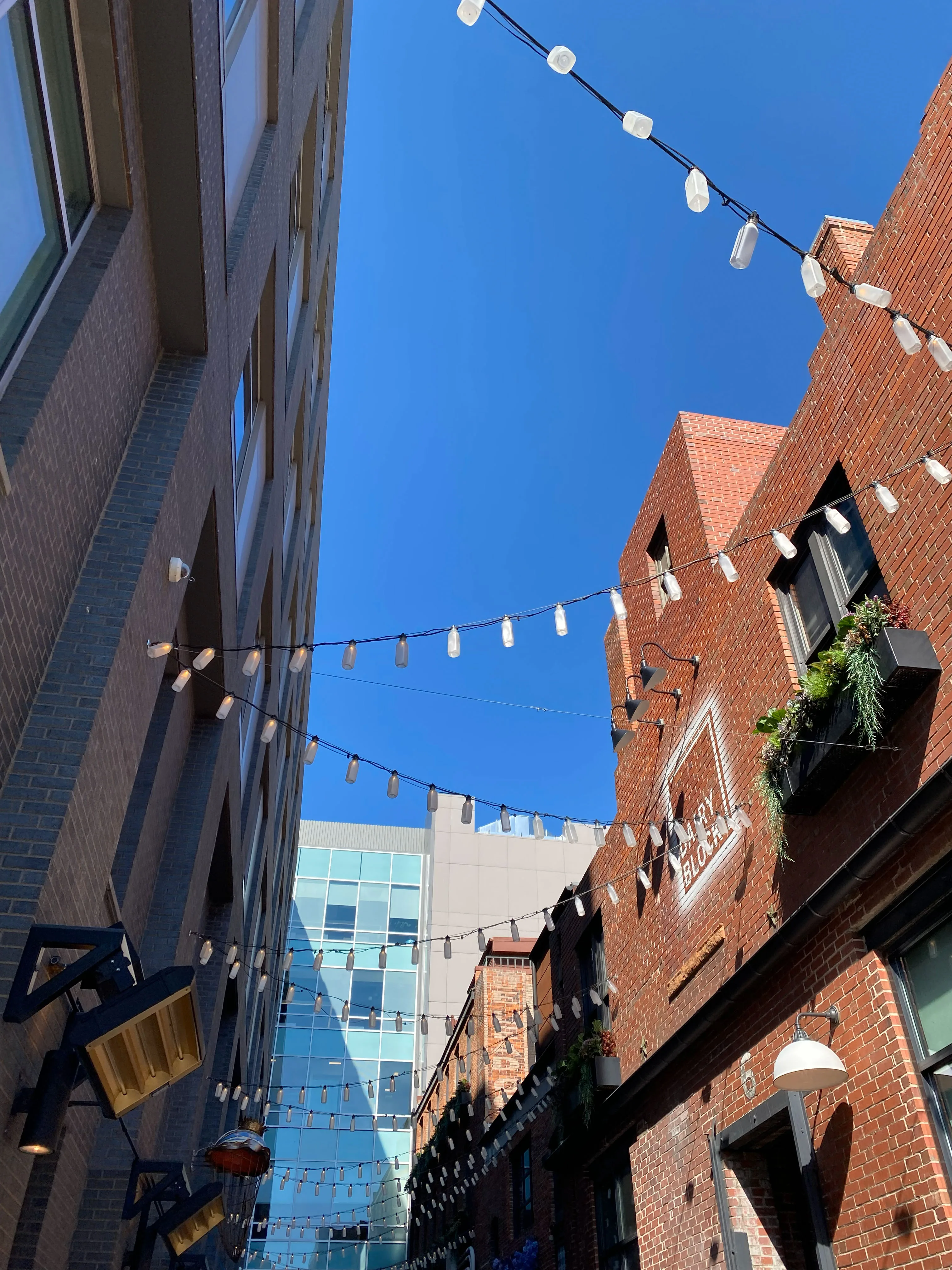 Denver Microbrew Tour