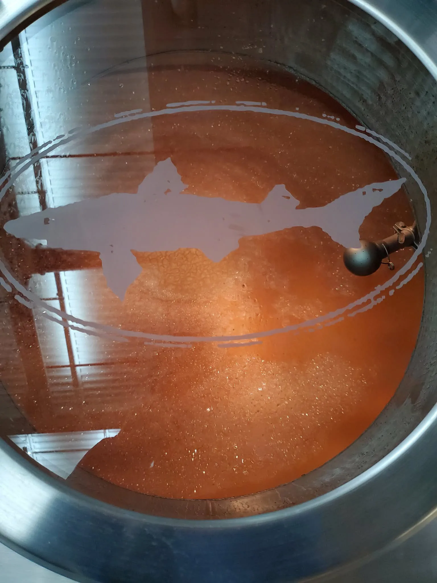 Dogfish Head Brewery Tour