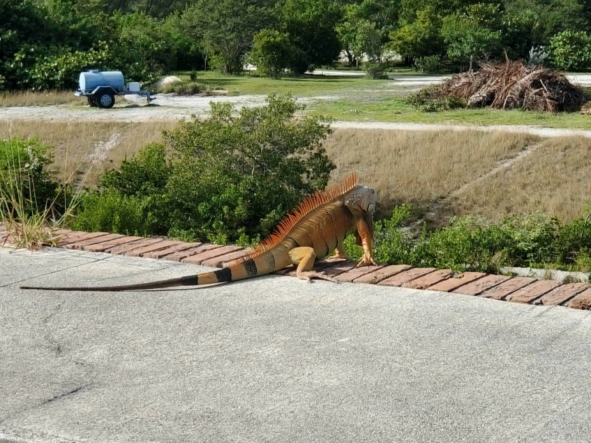Fort Zachary Taylor Historic State Park