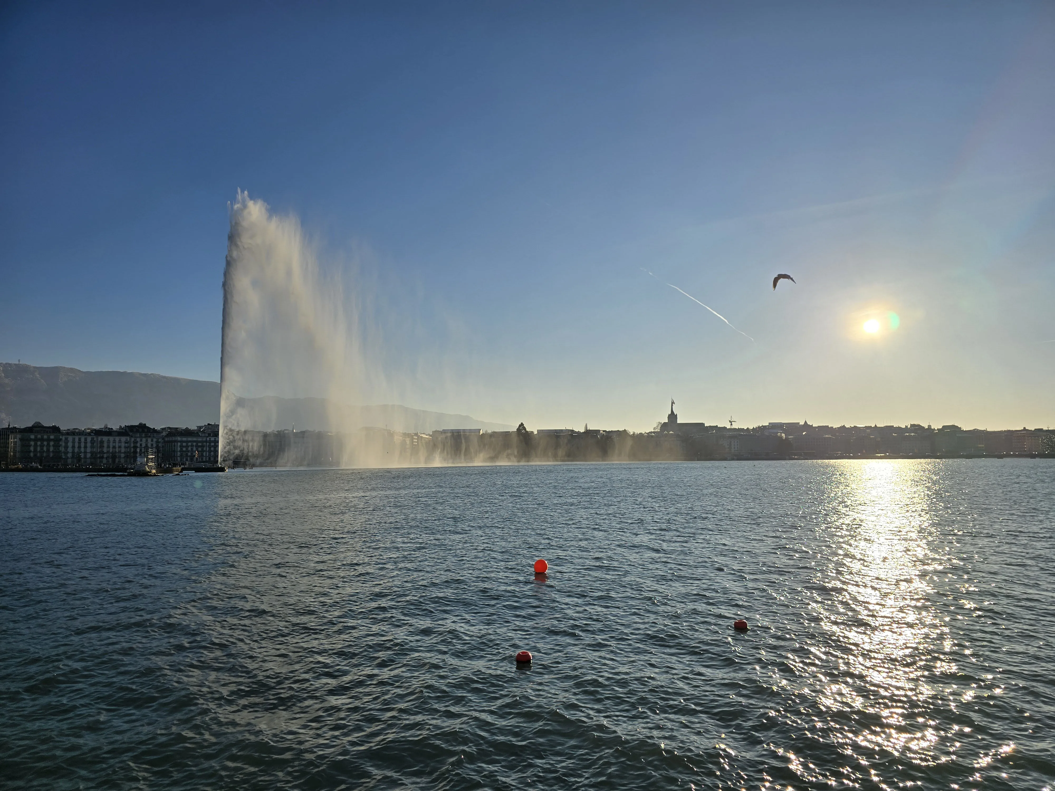 Geneva