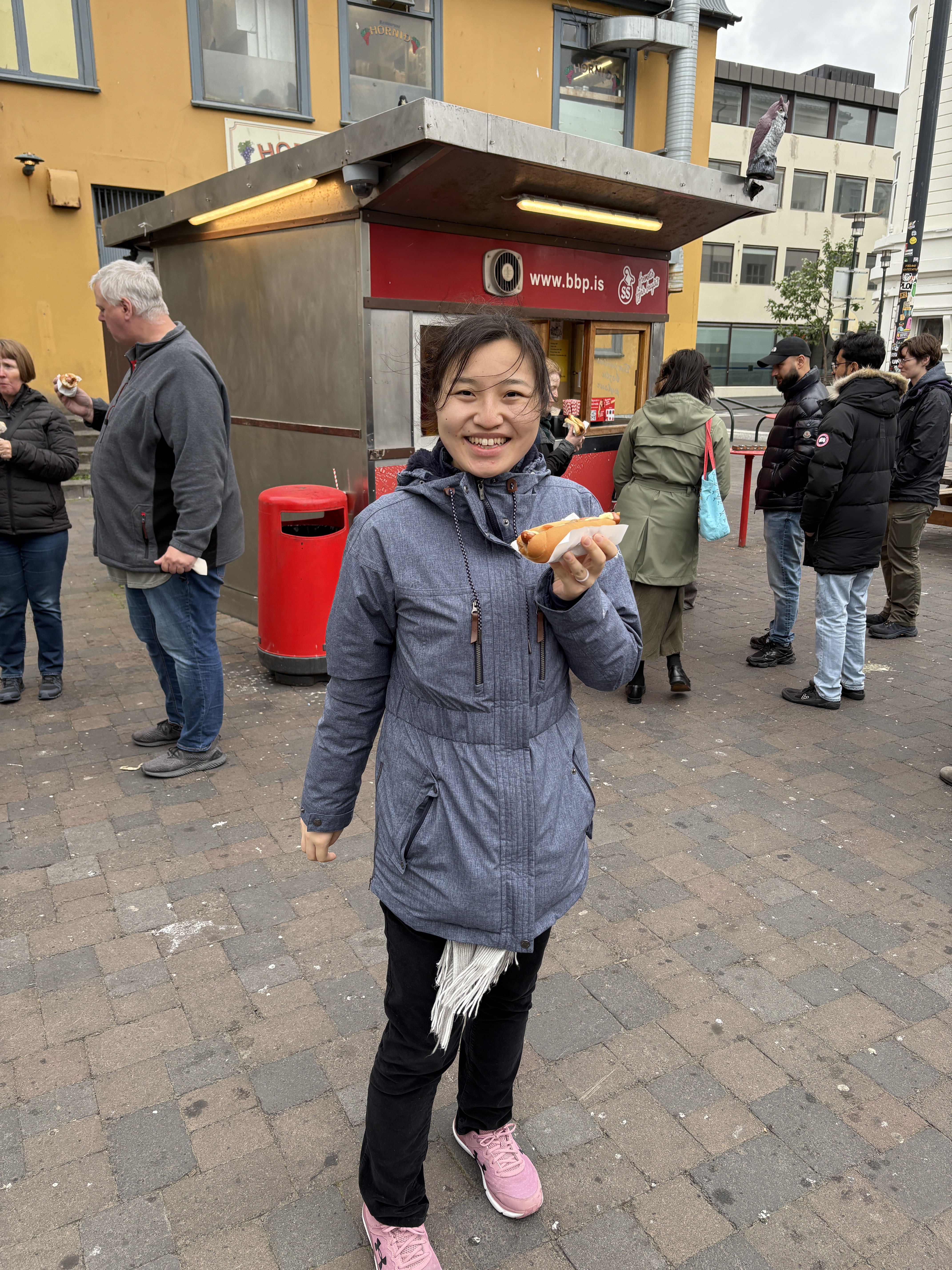 Icelandic hot dog stand