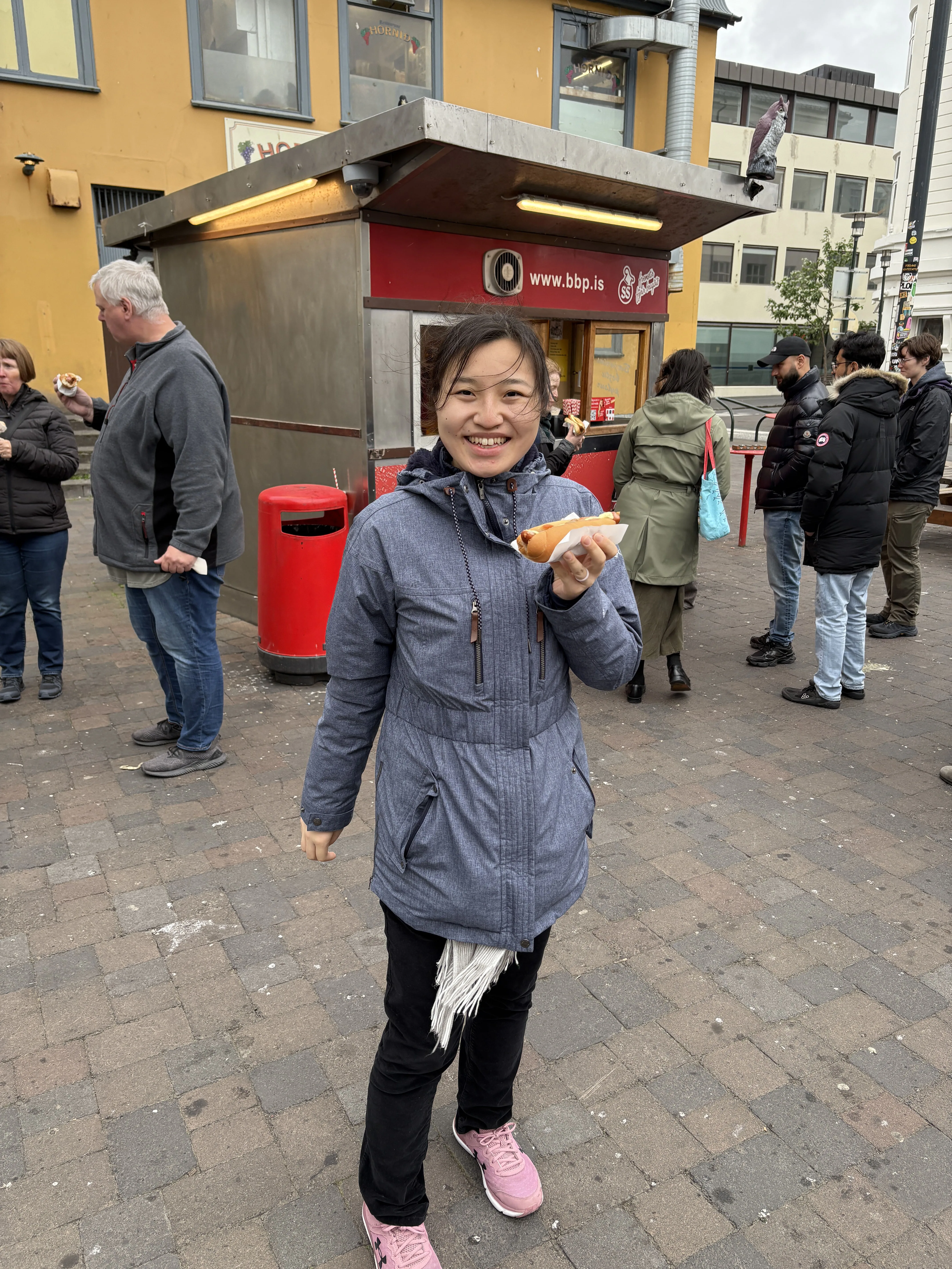 Icelandic hot dog stand