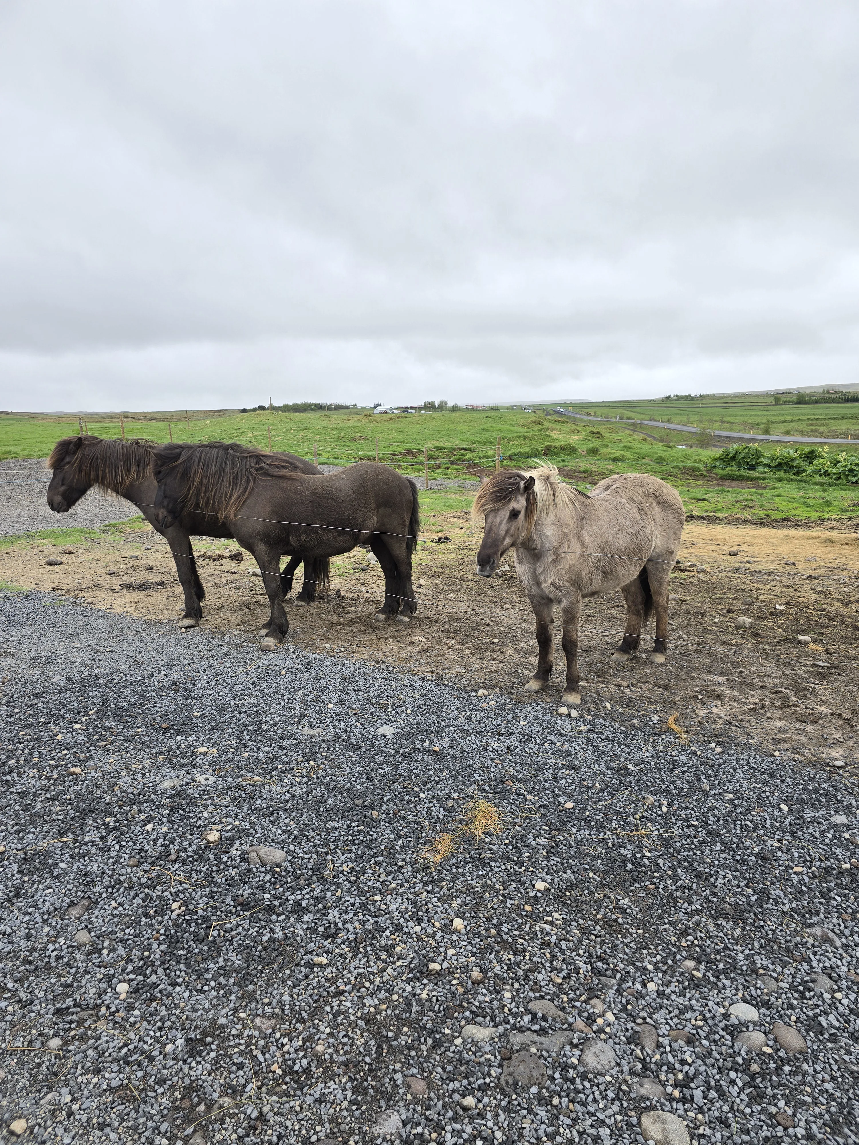 Bru Horse Farm