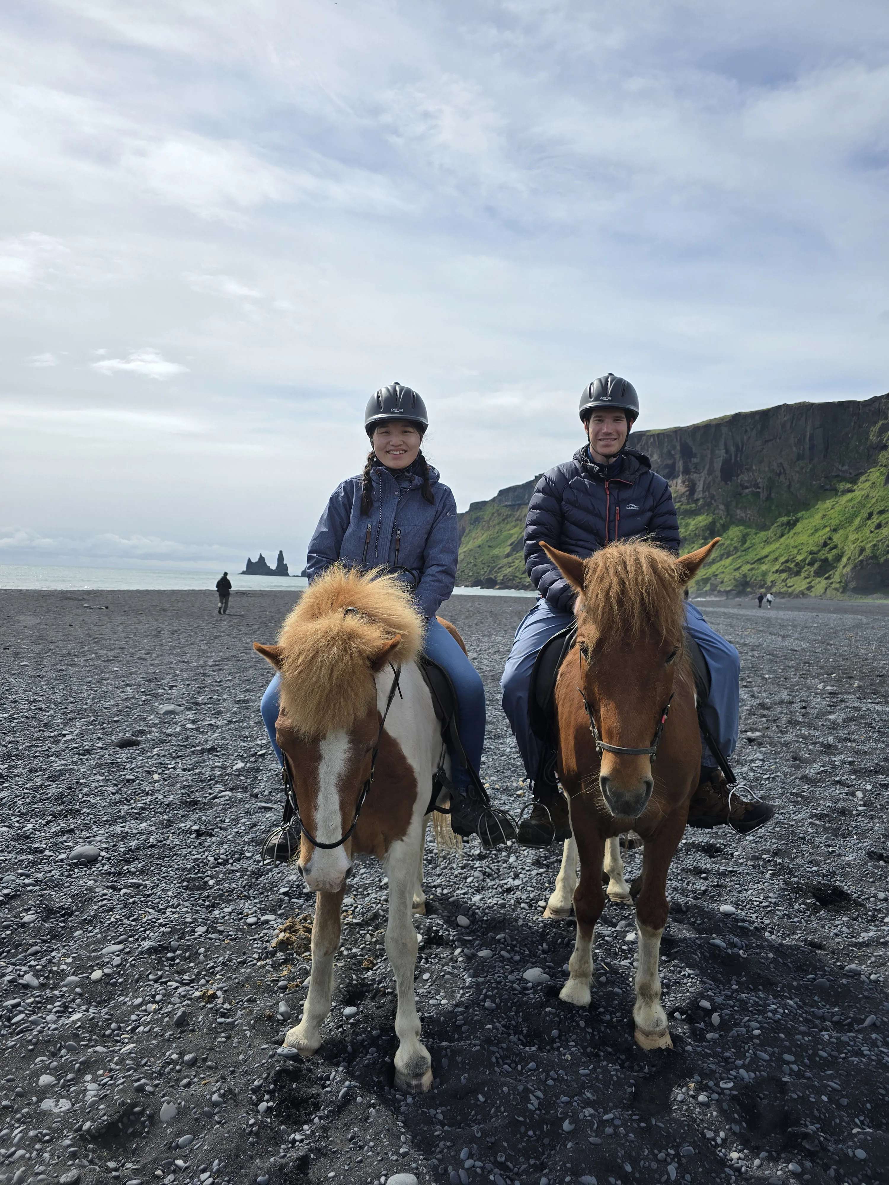 Animal Tours