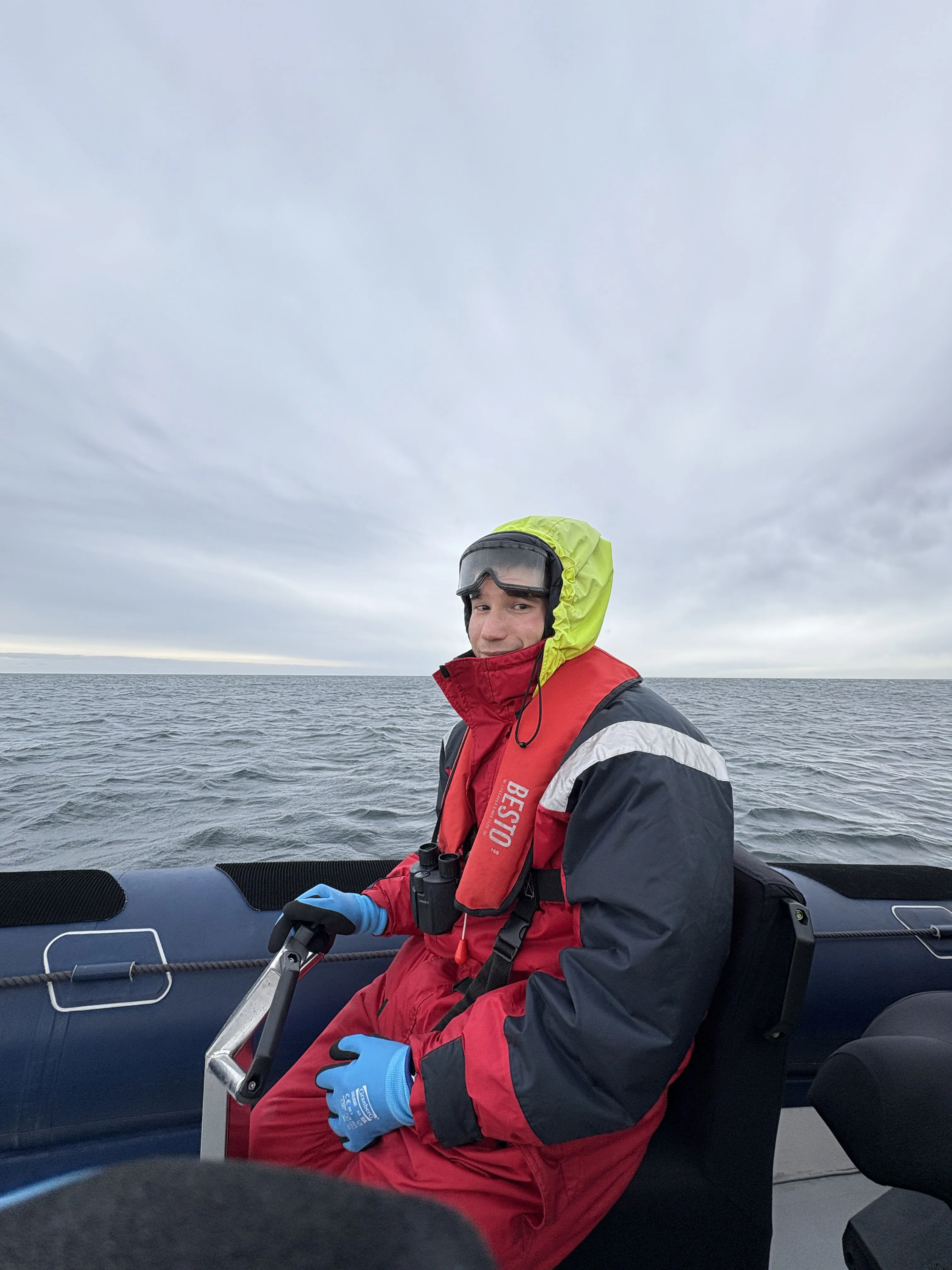 Reykjavik Premium Puffin Tour