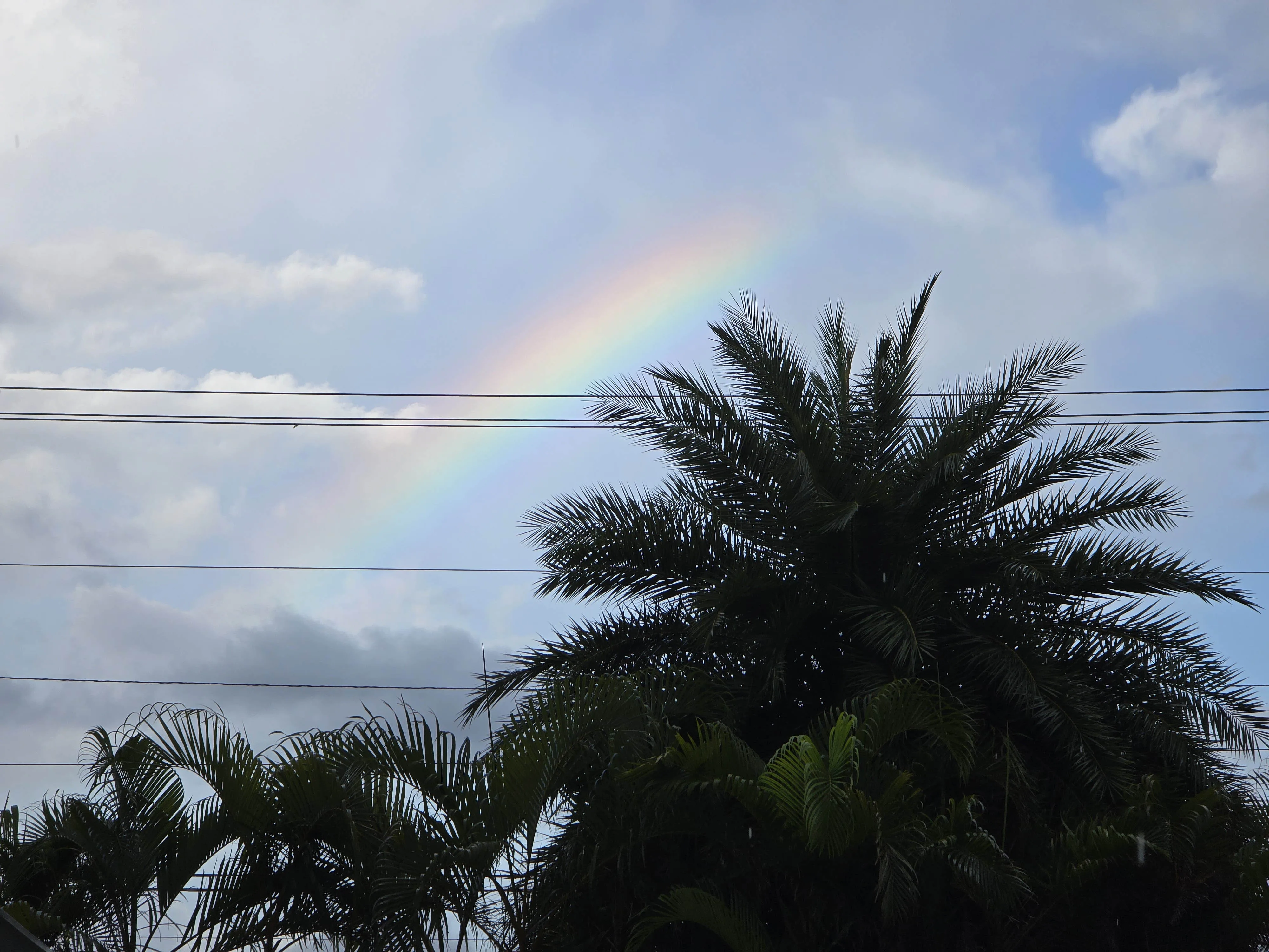 Rainbow over Negril
