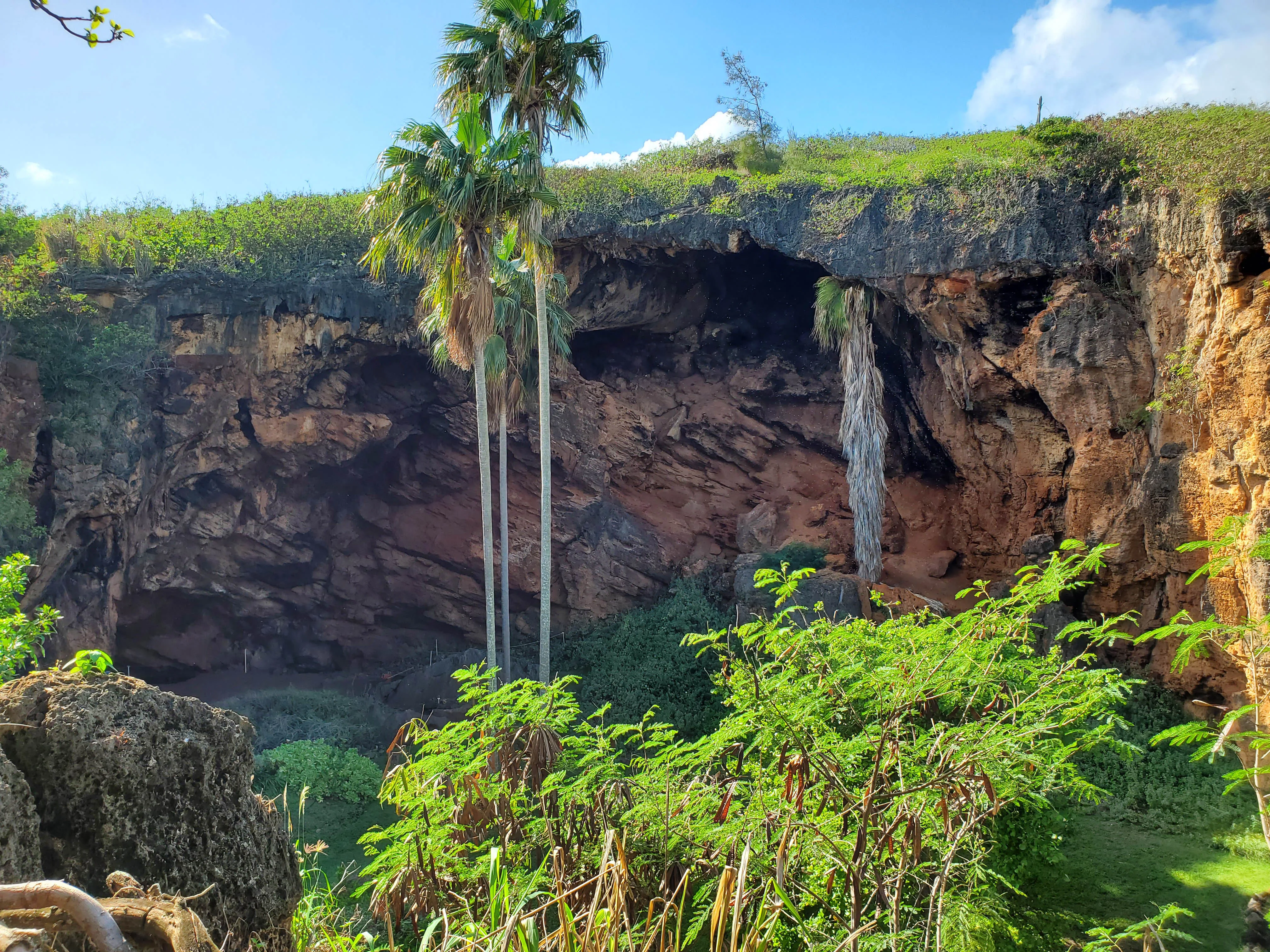Makauwahi Cave Reserve