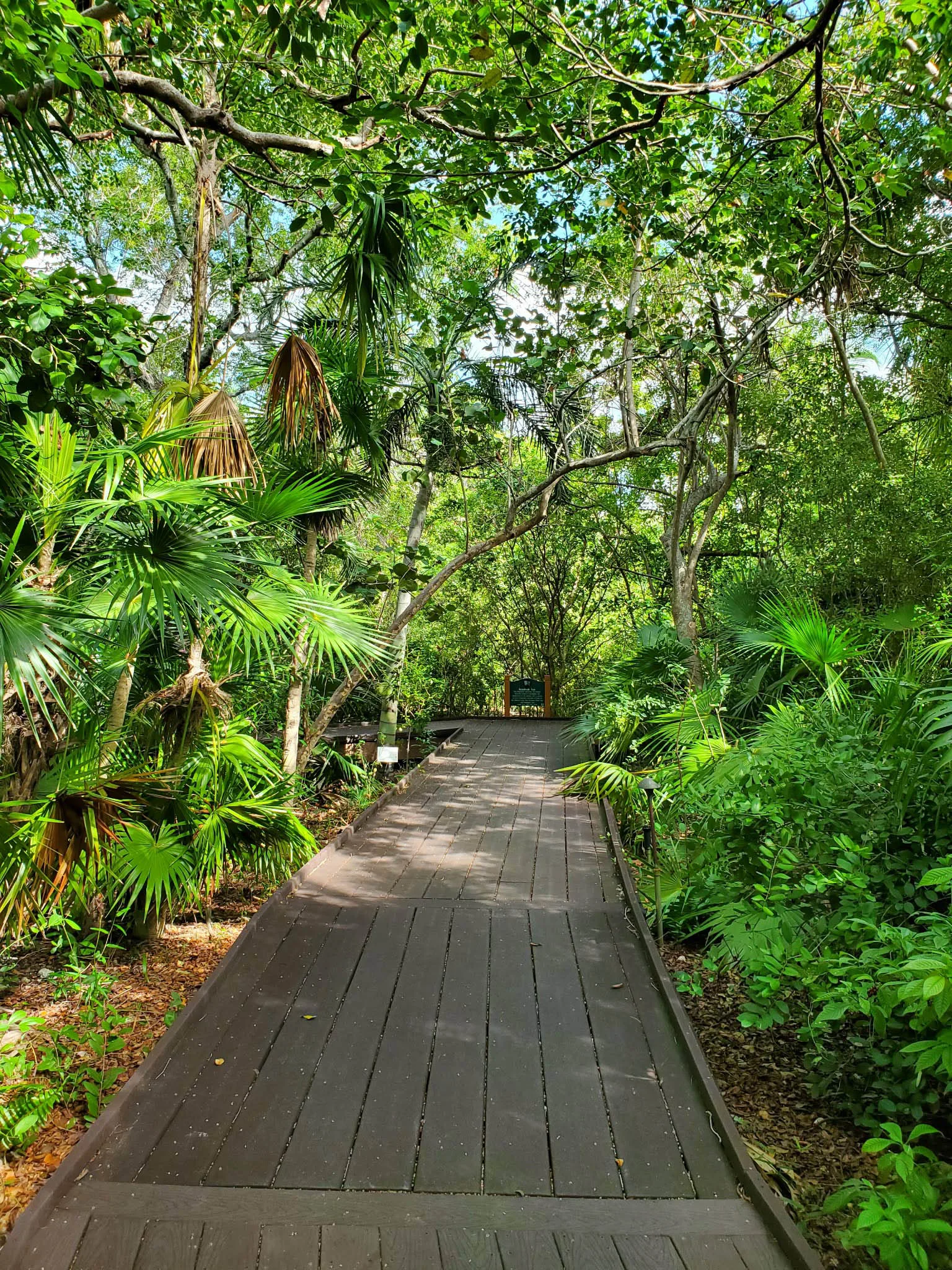 Key West Tropical Forest & Botanical Garden
