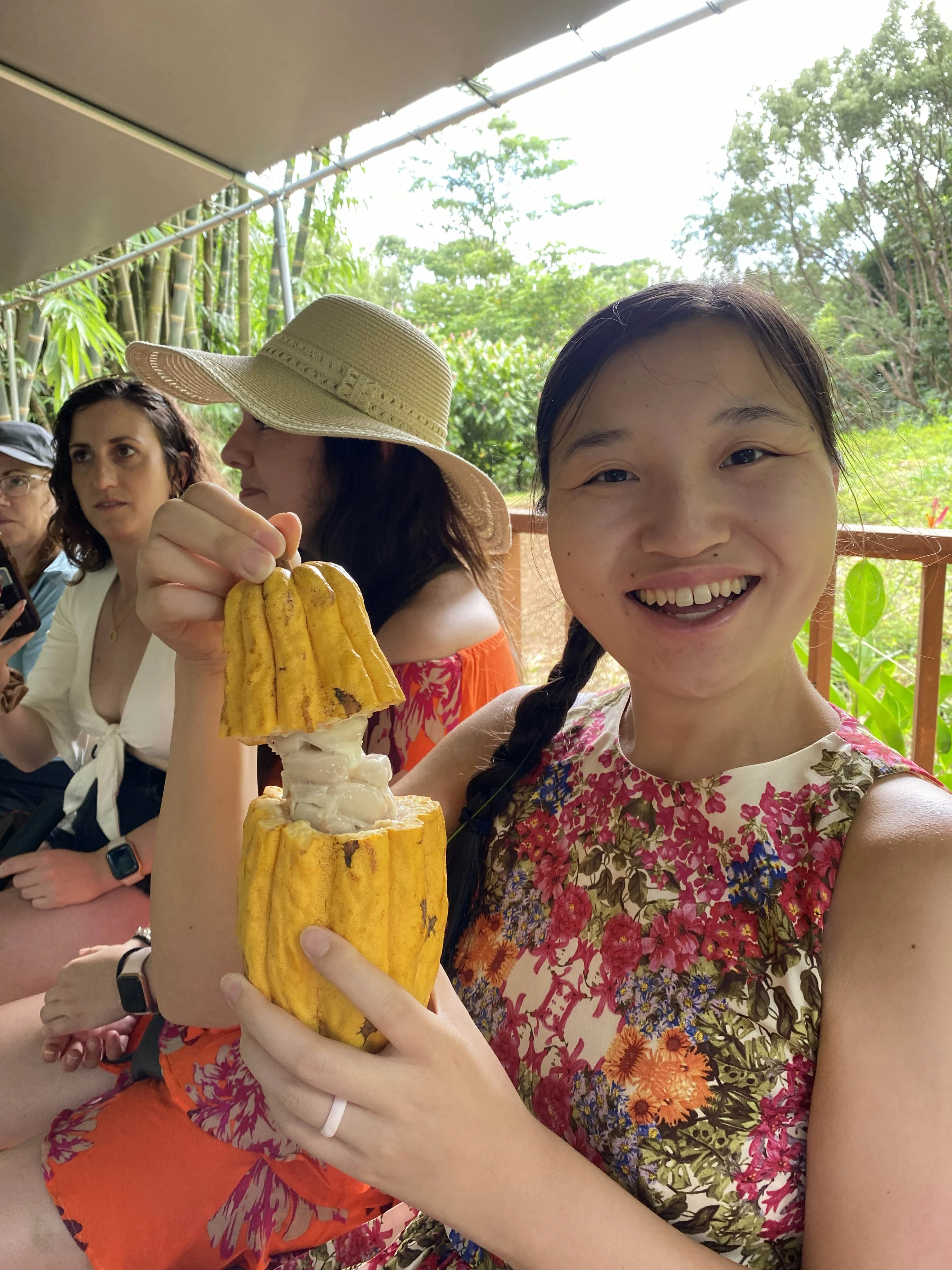 Lydgate Farms Chocolate Farm Tour