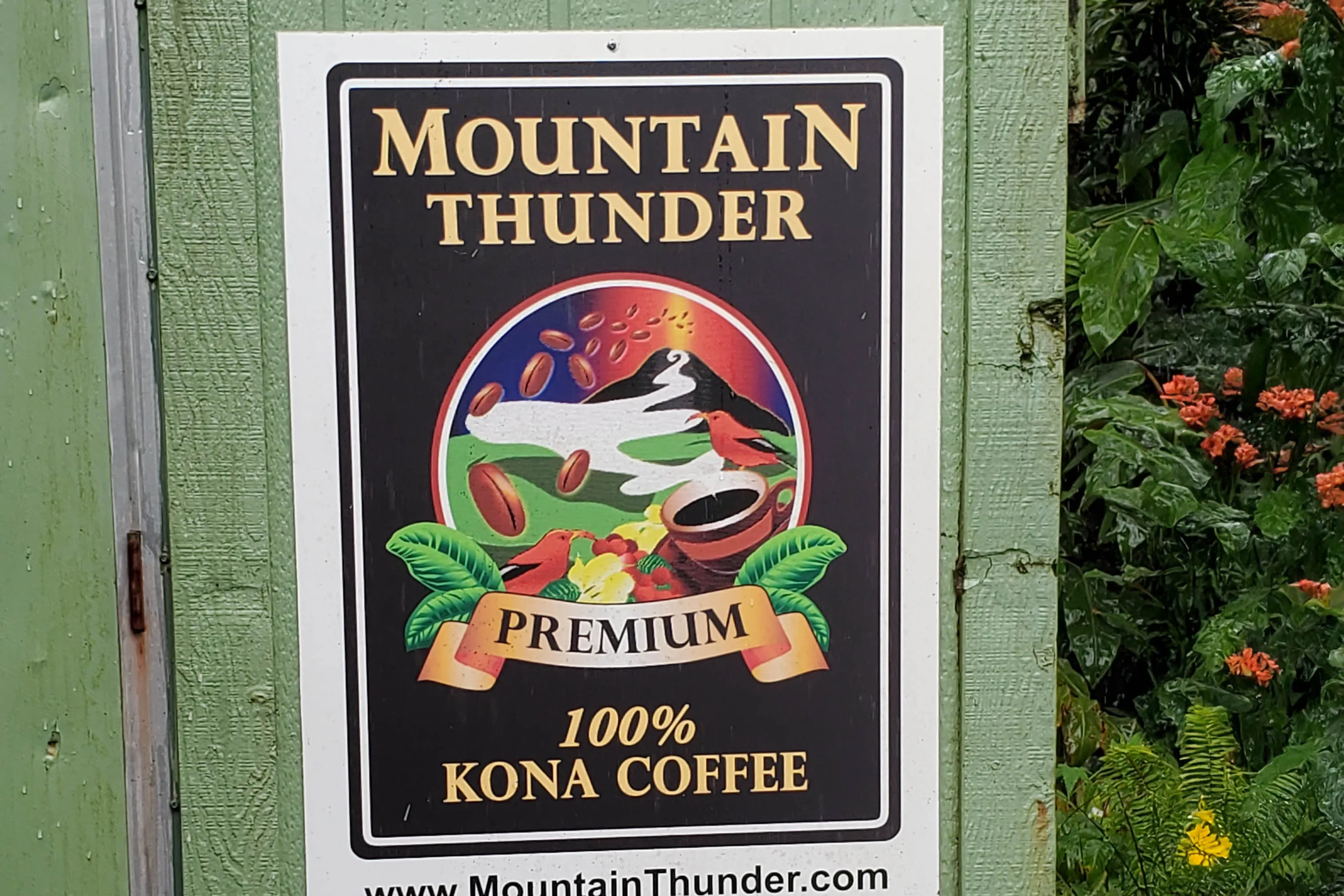 Mountain Thunder Coffee Plantation