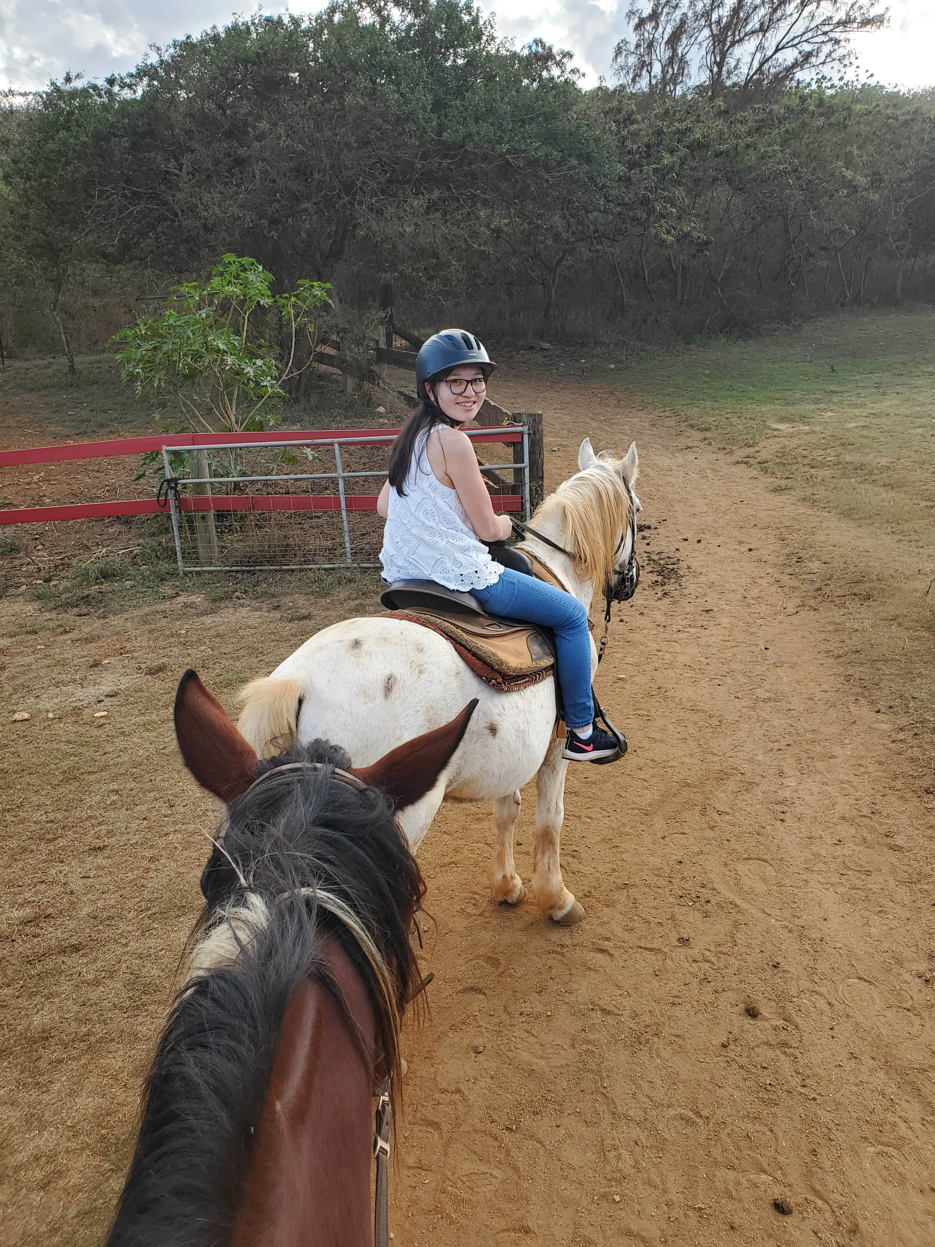 Oahu Horseback Riding