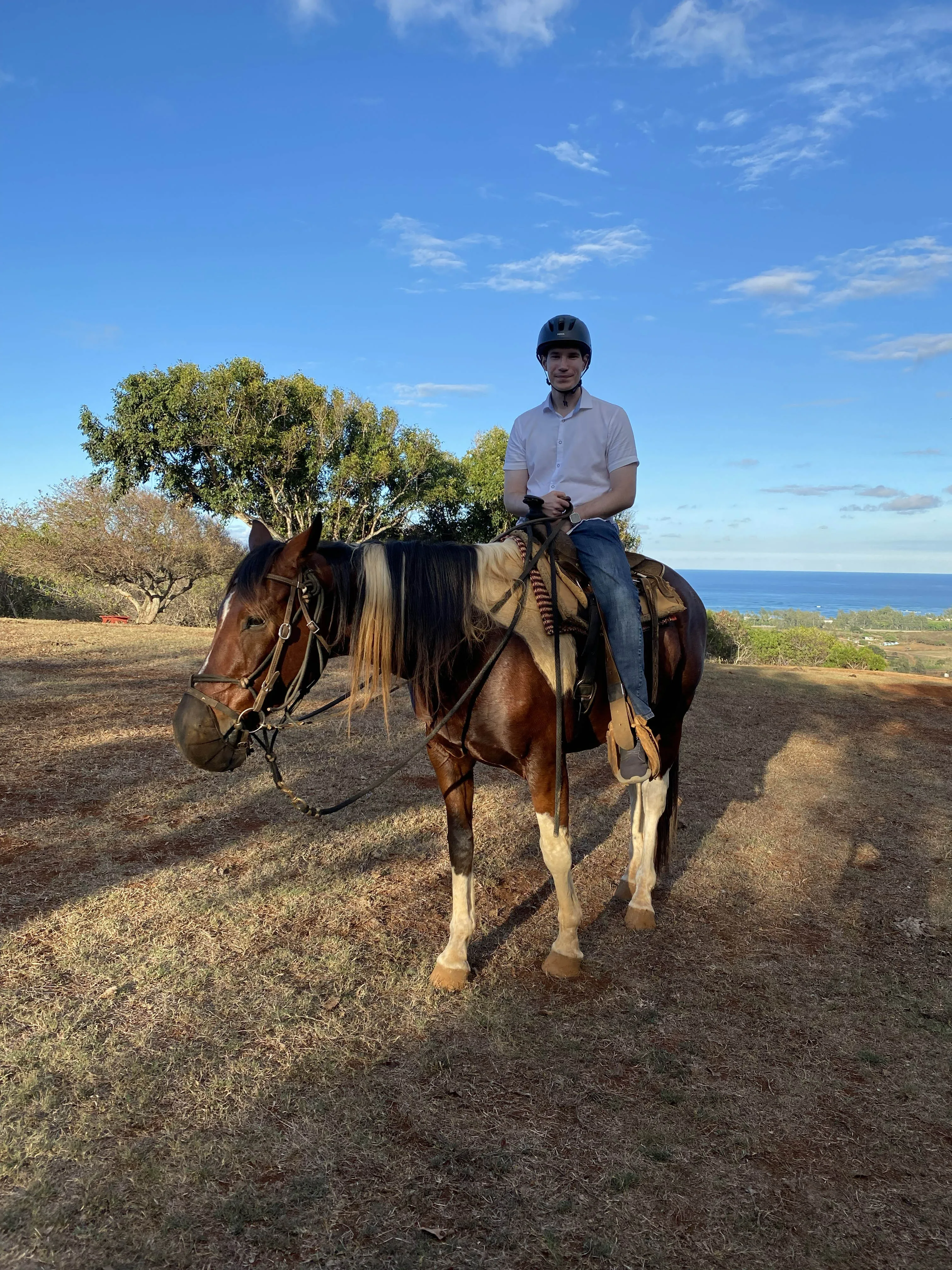 Oahu Horseback Riding