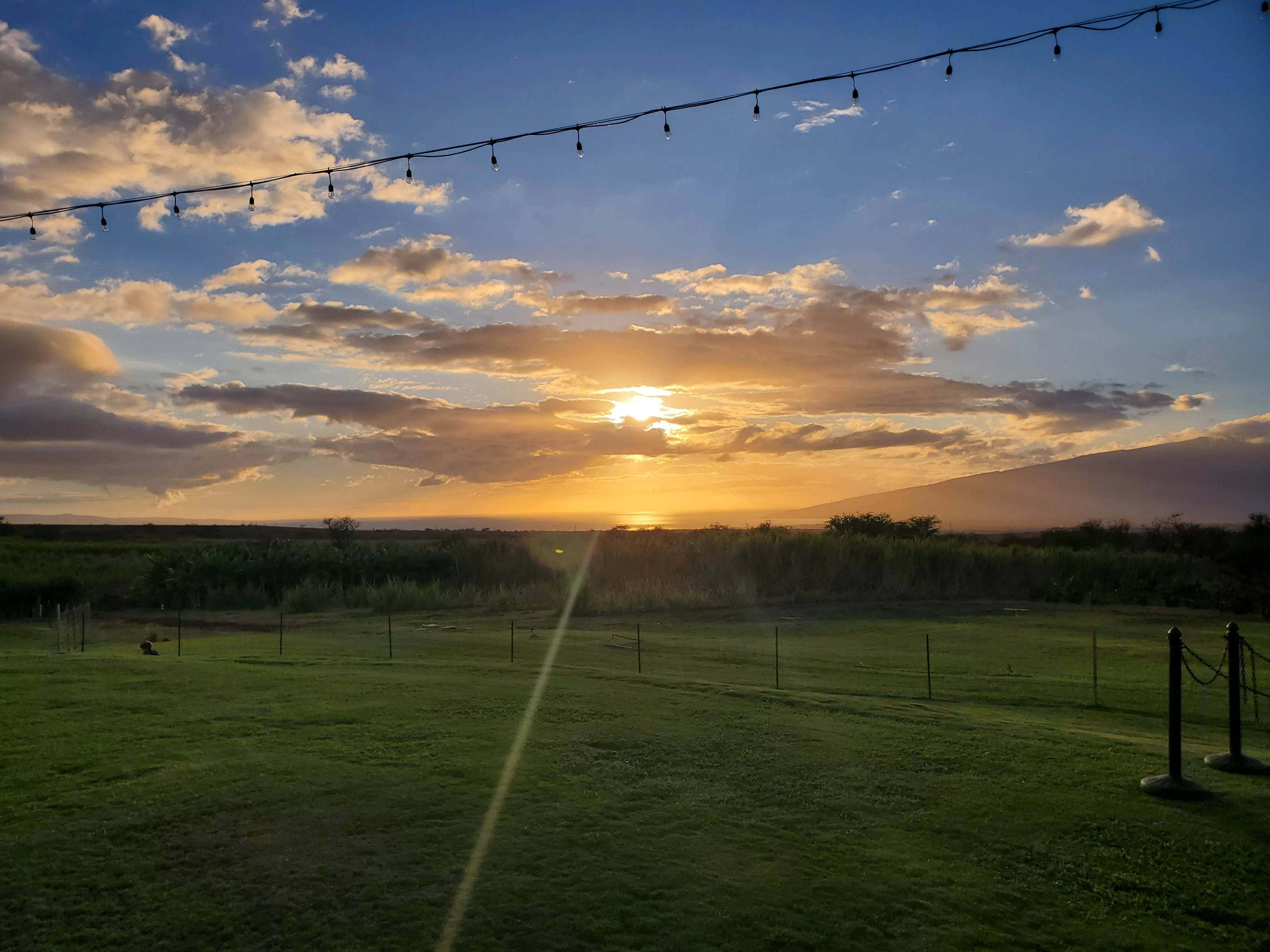 Ocean Organic Farm and Distillery