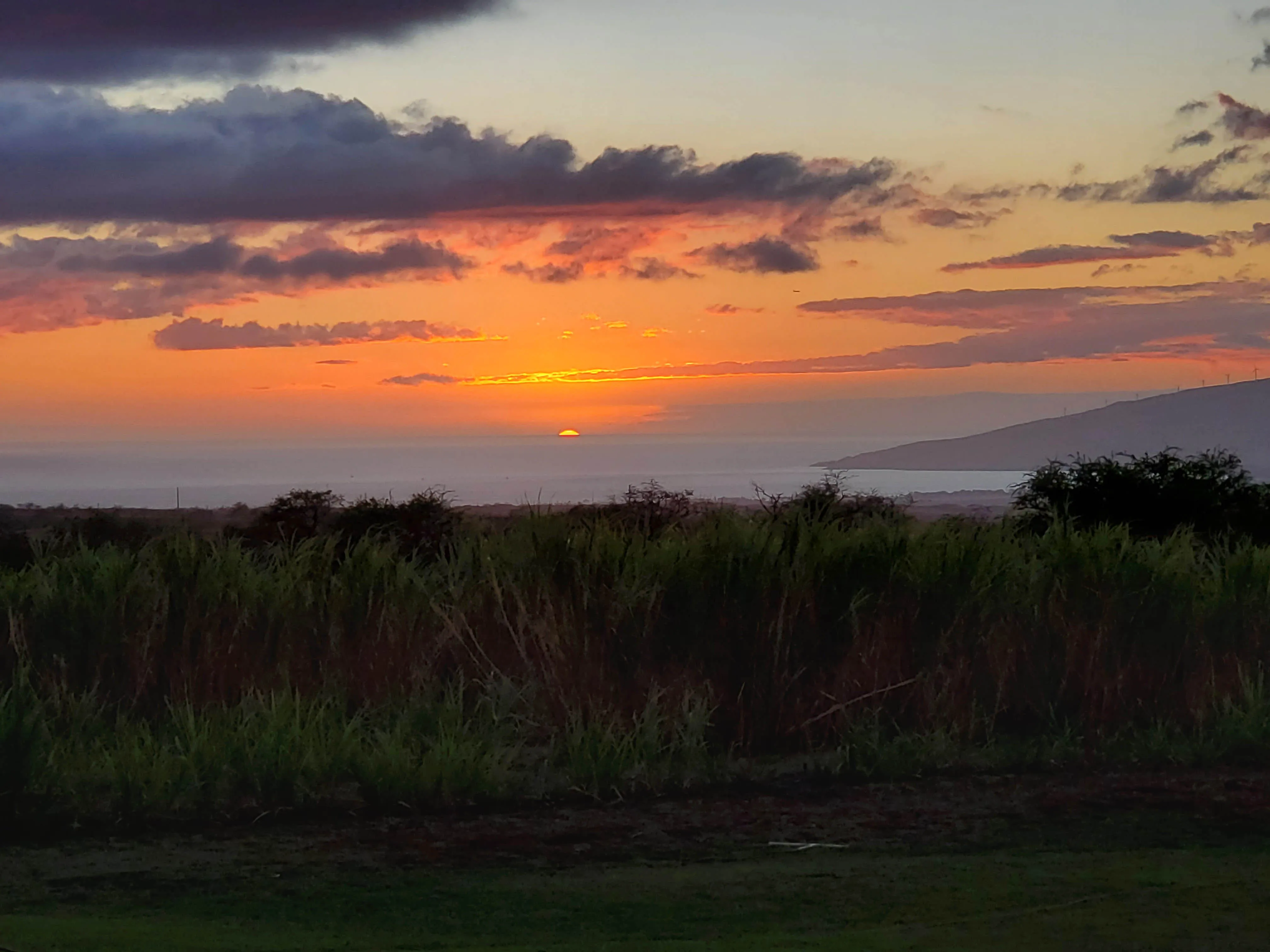 Ocean Organic Farm and Distillery