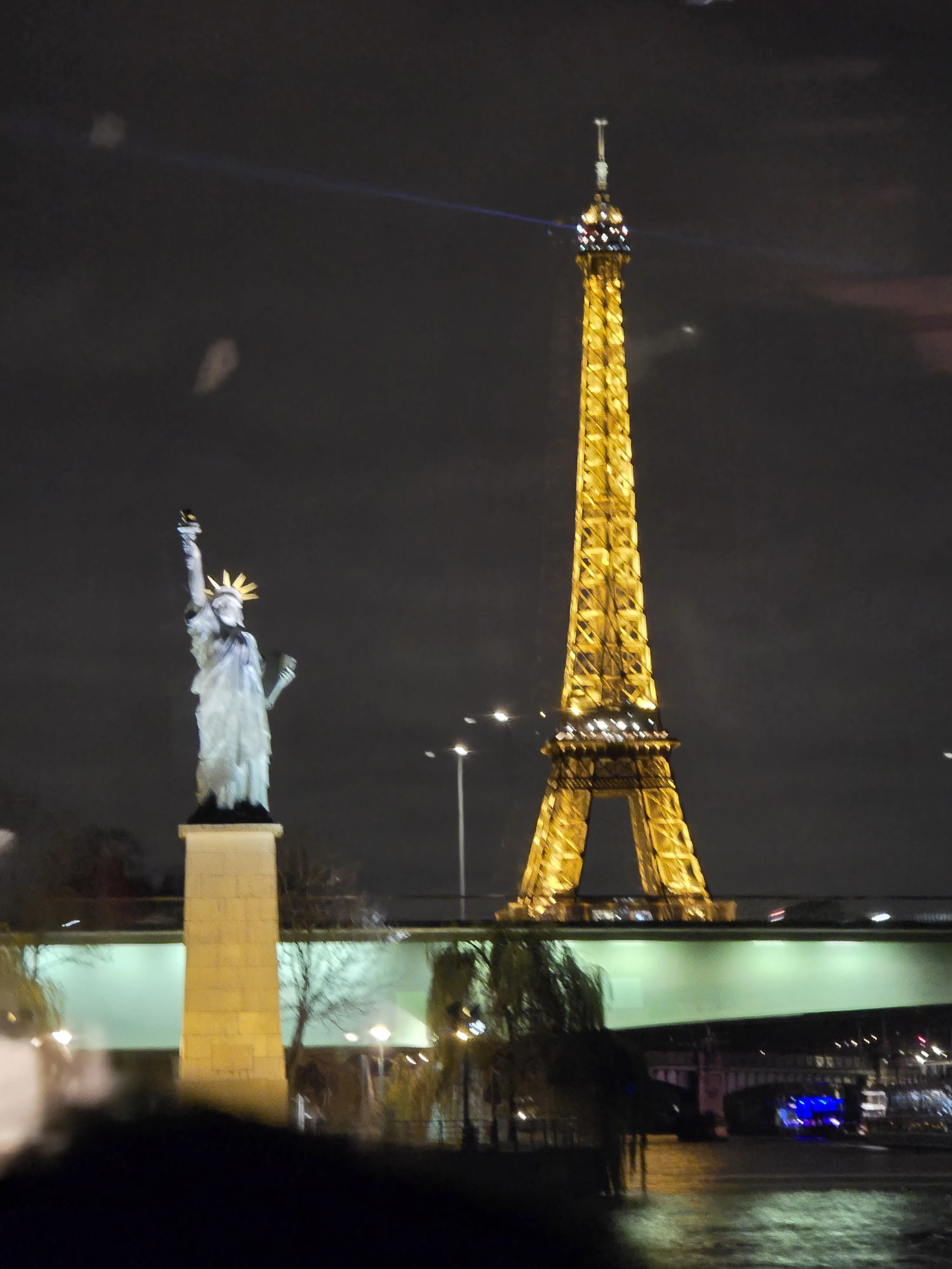 Seine River Dinner & Sightseeing Cruise