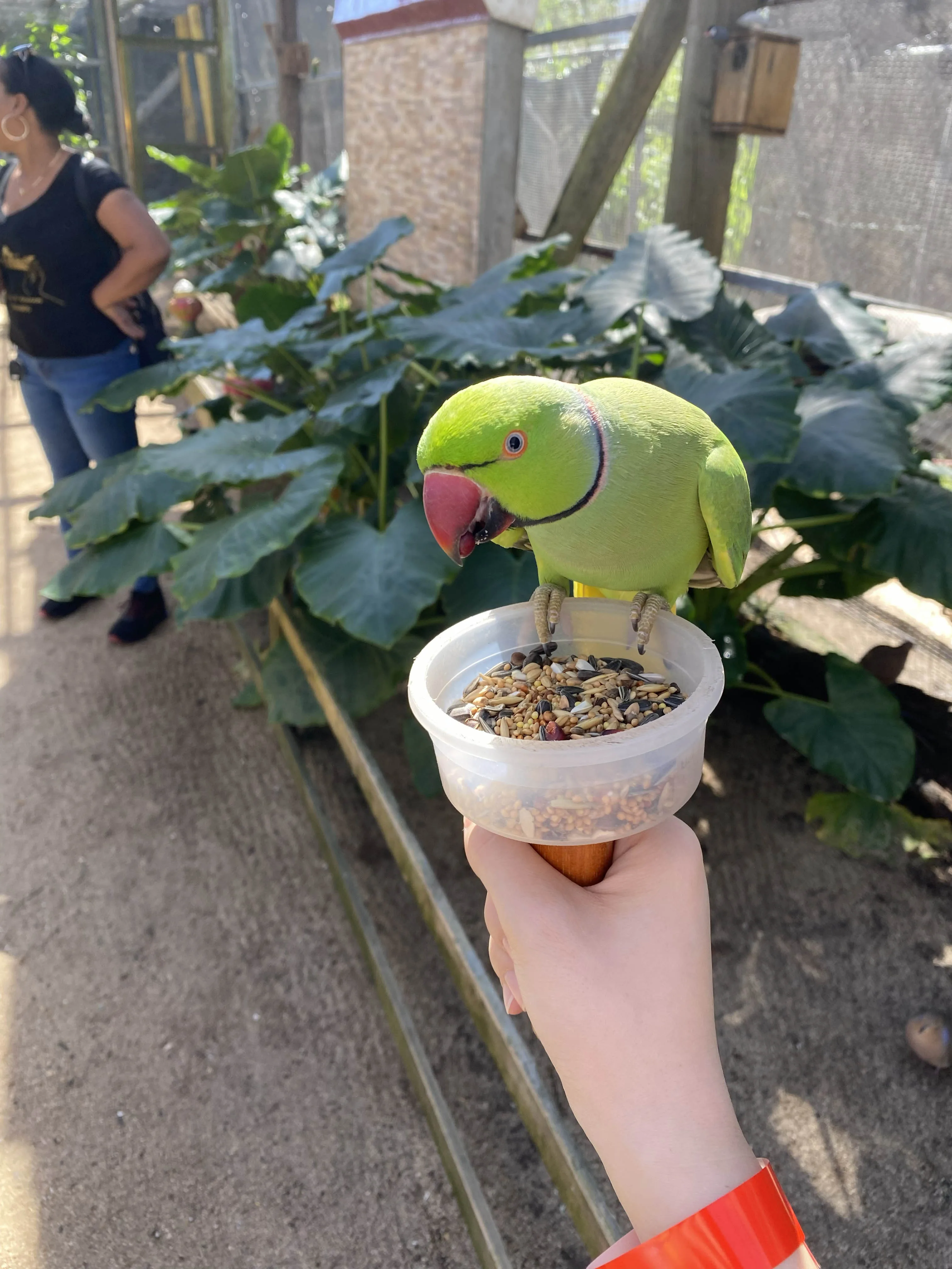 Parotte Ville Bird Park
