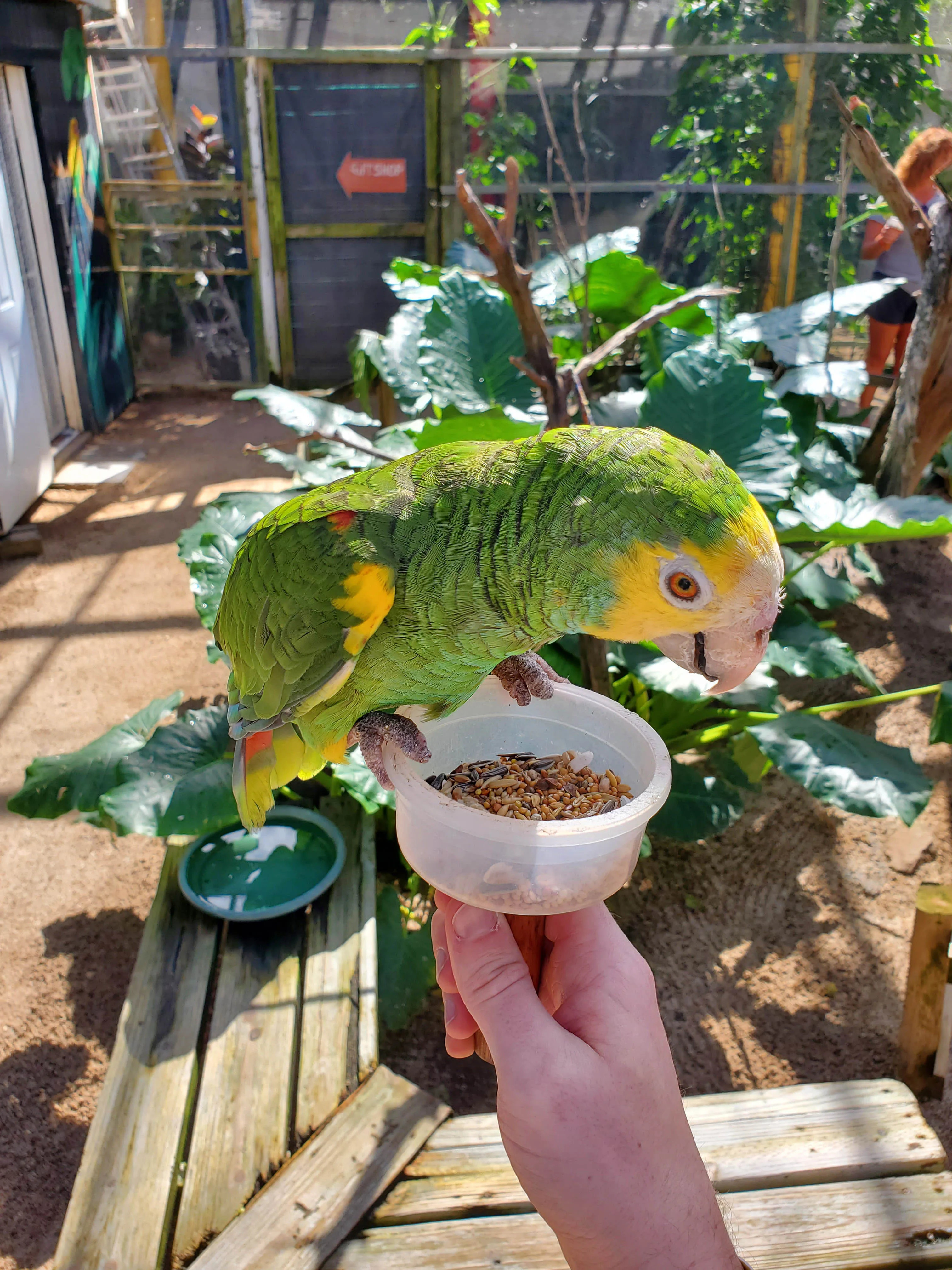 Parotte Ville Bird Park