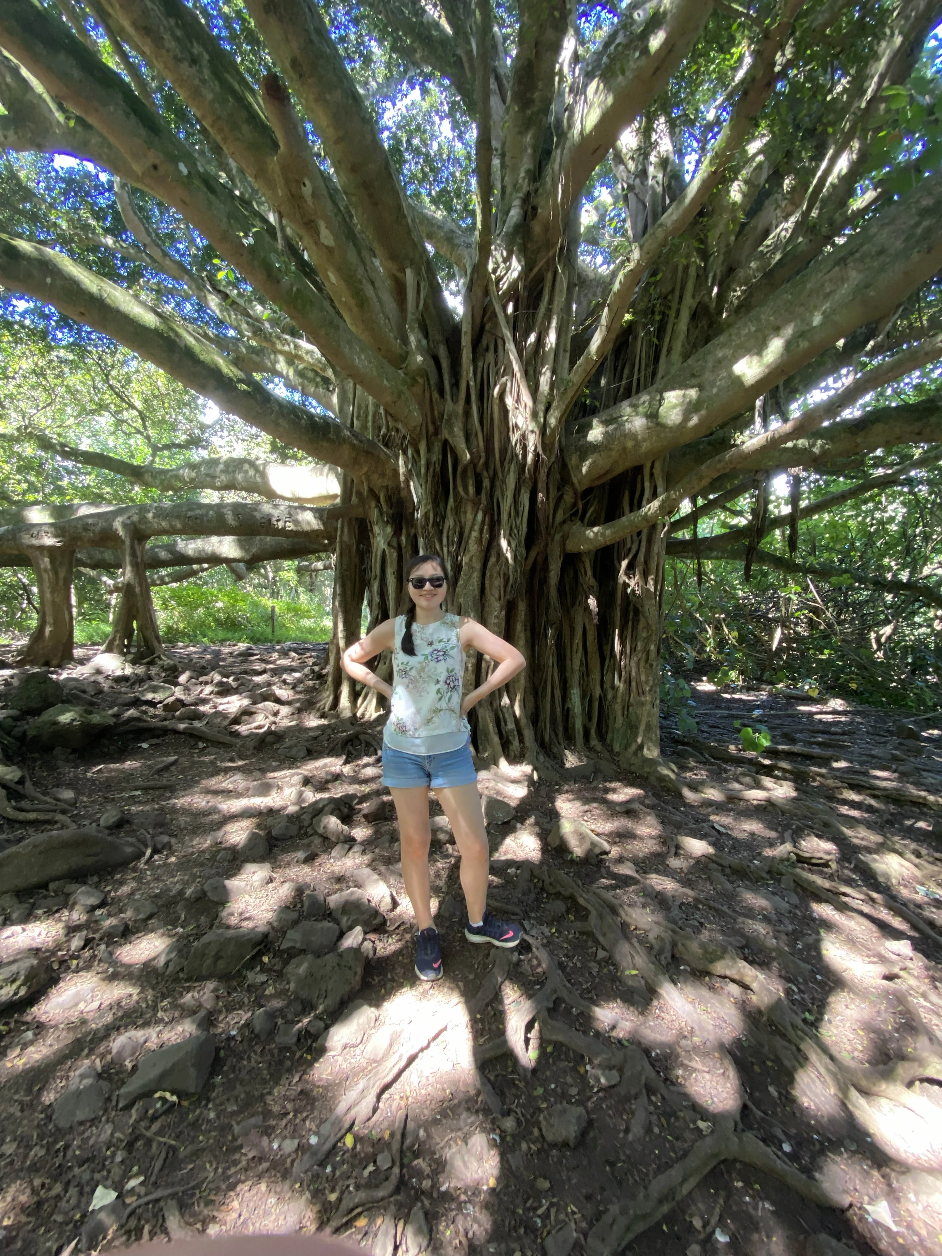 Pipiwai Trail 