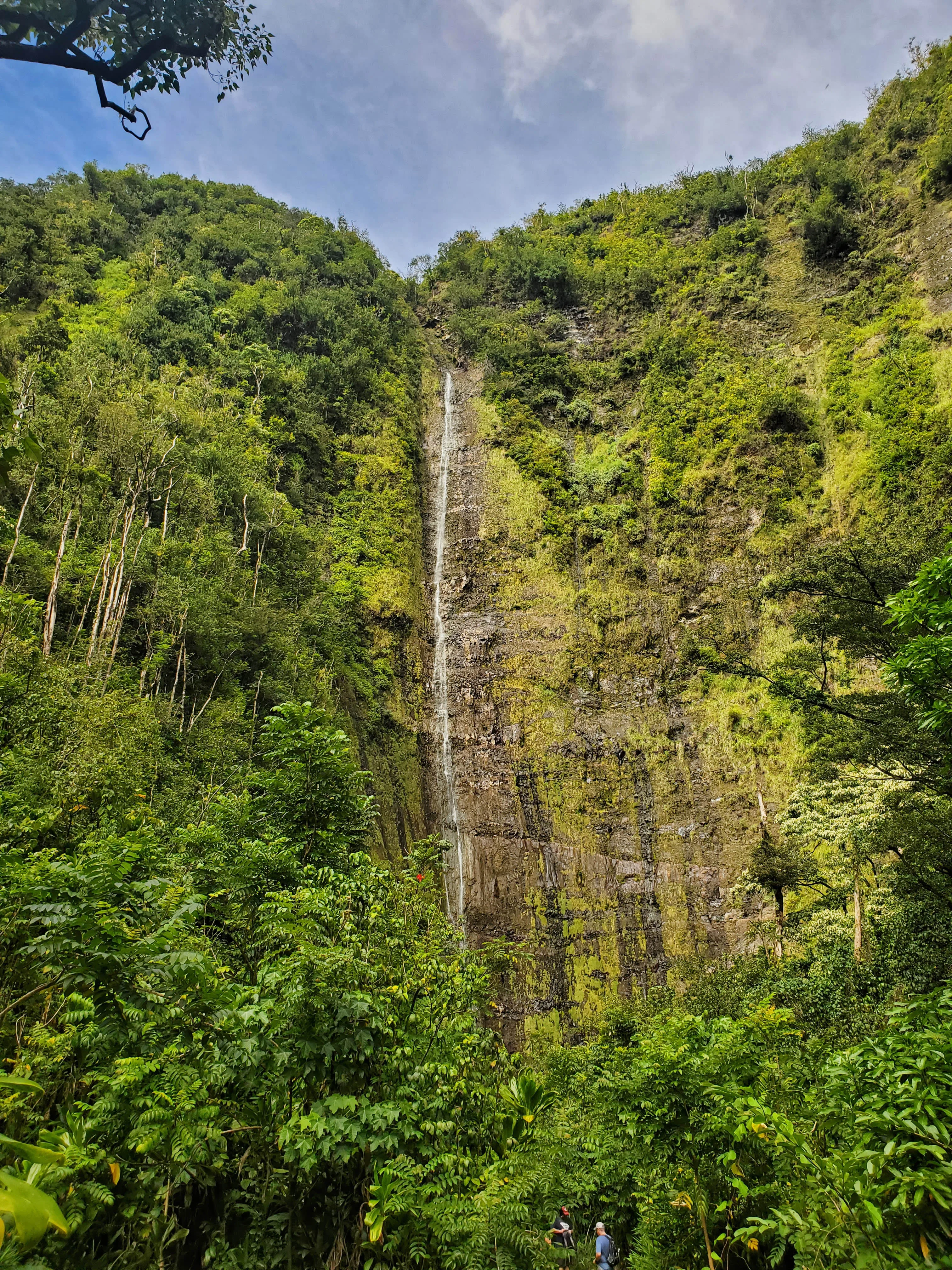 Waimea Canyon