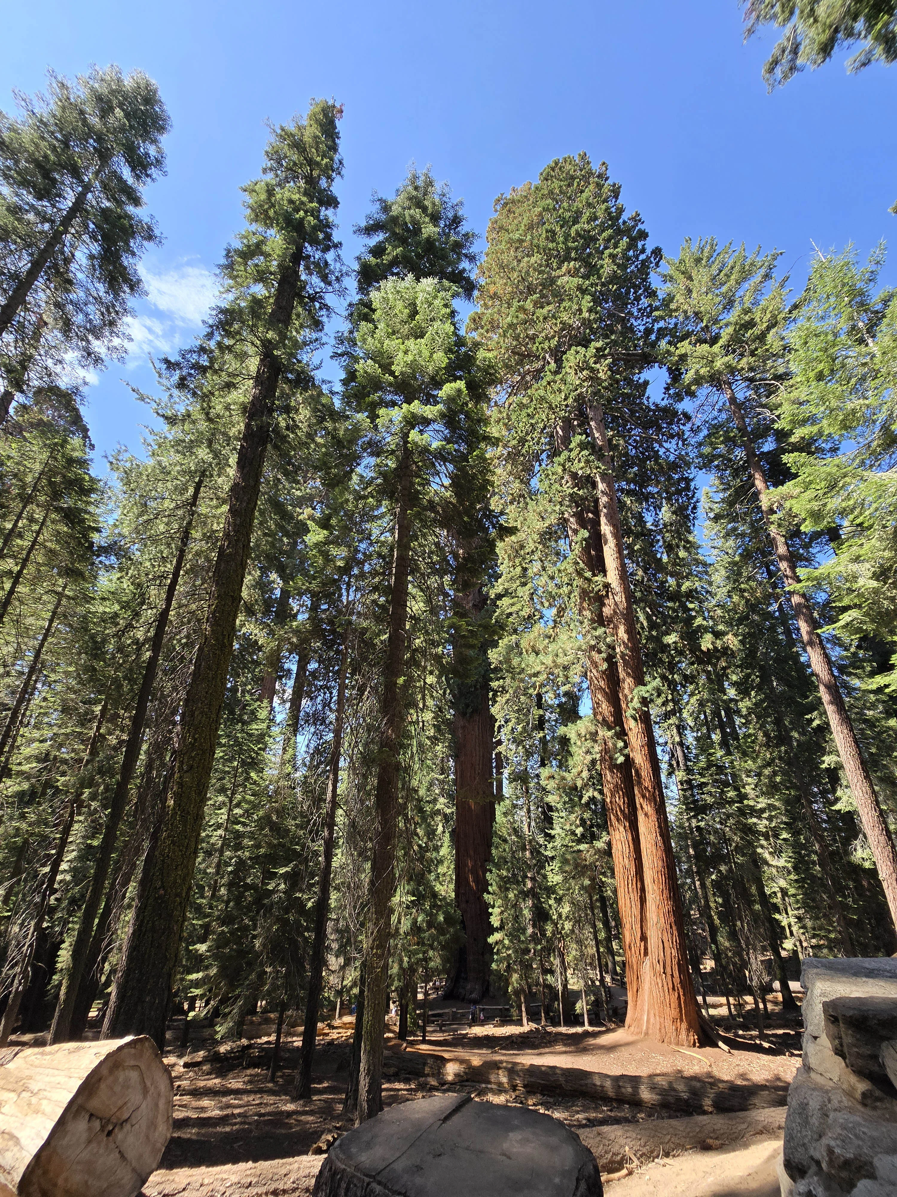 Sequoia National Park