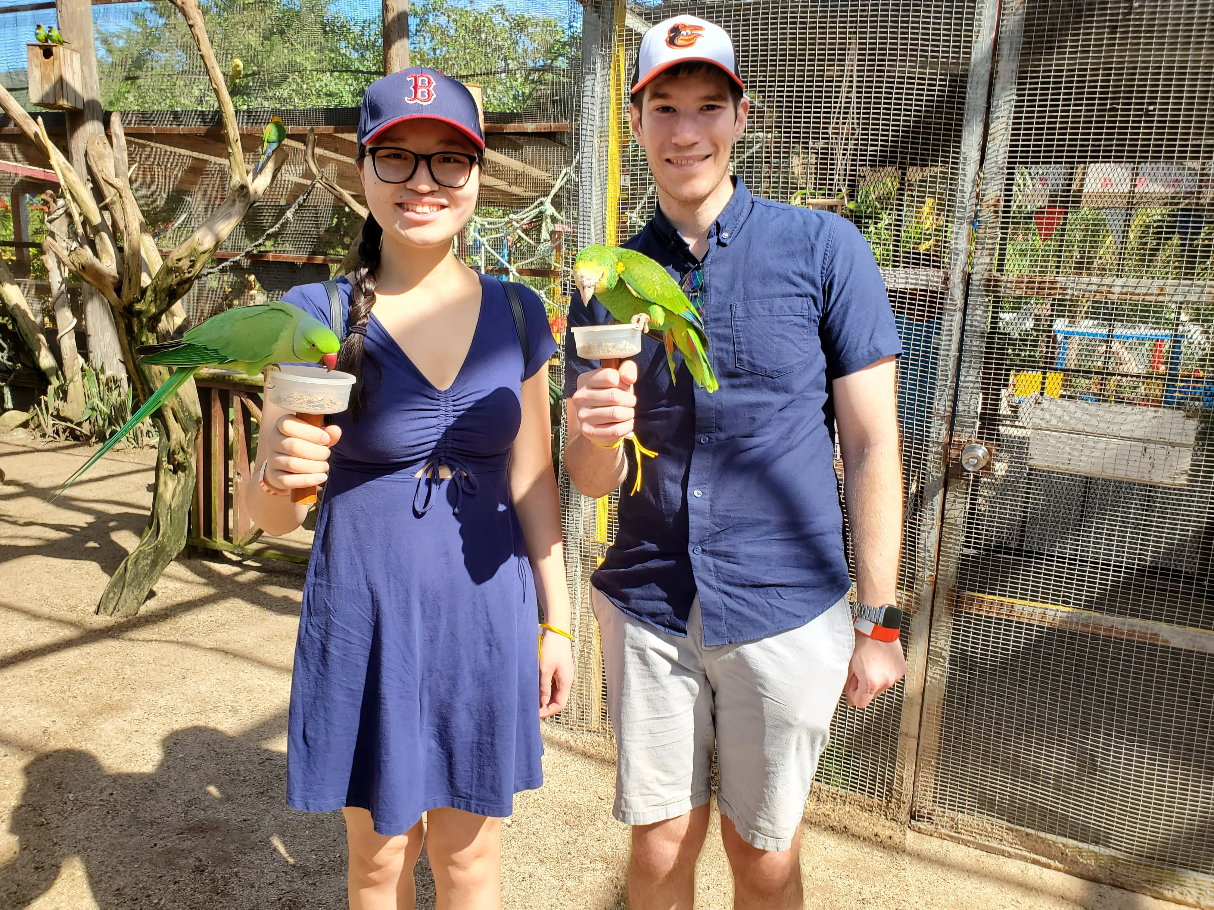 St Martin Parrot's
