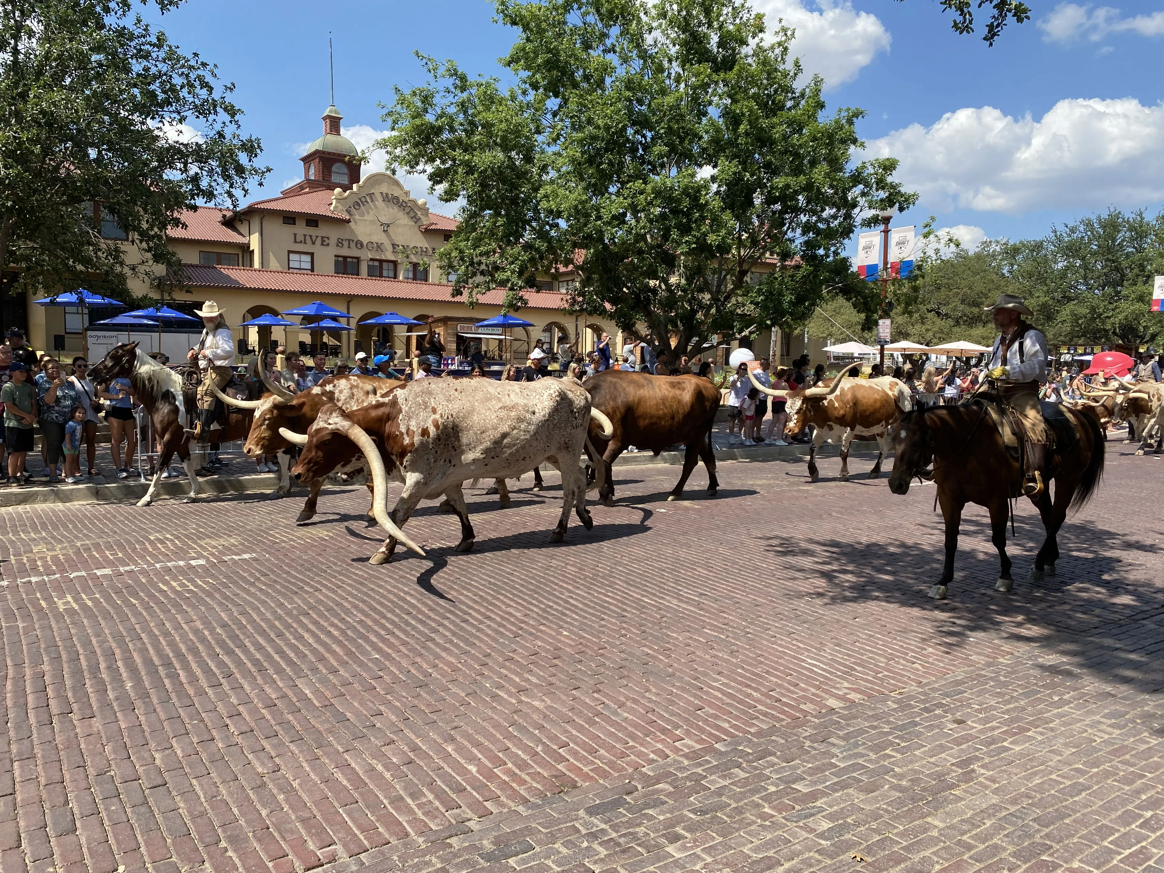 Texas