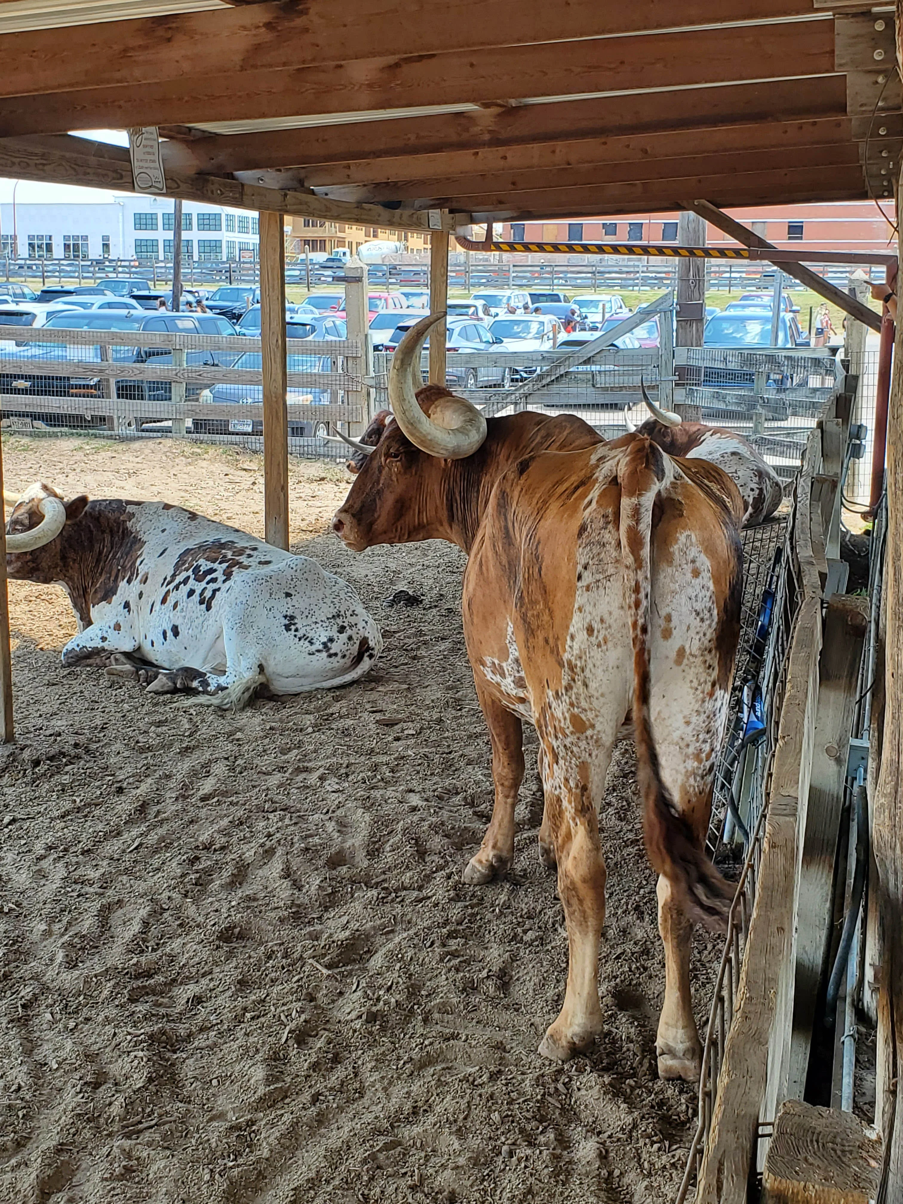 Fort Worth Stockyards