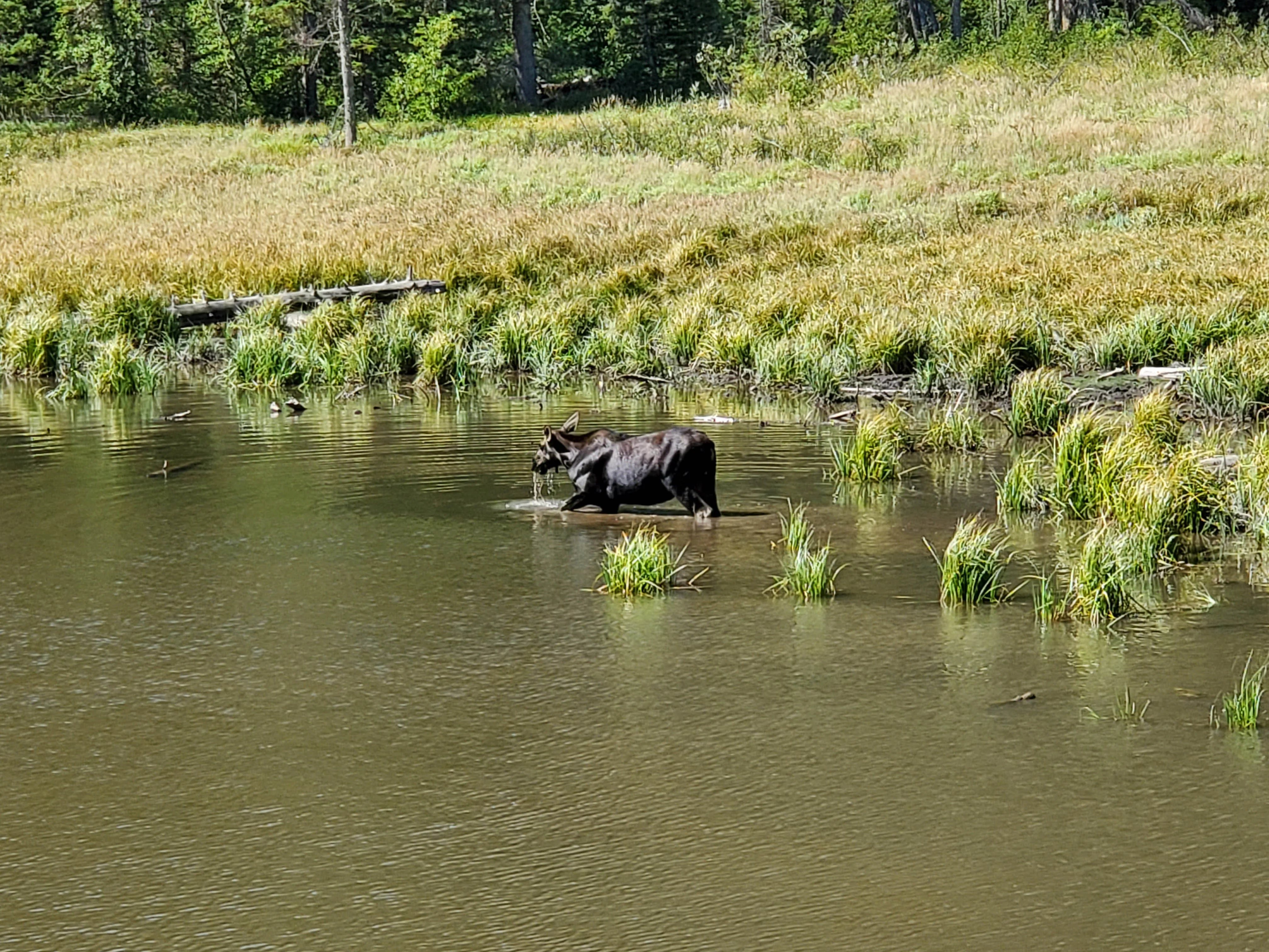 Grand Teton National Park