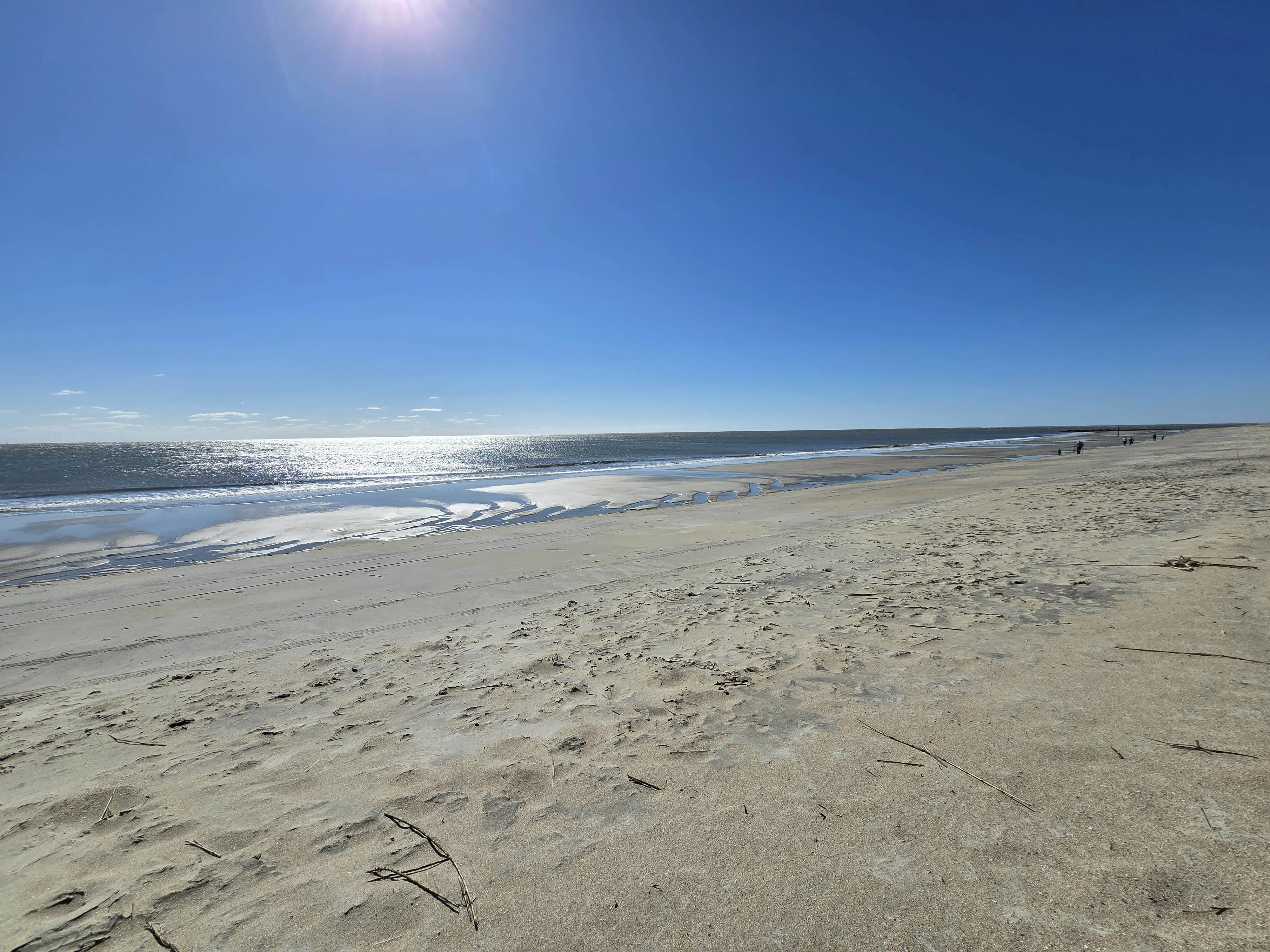 Honeymoon Island State Park