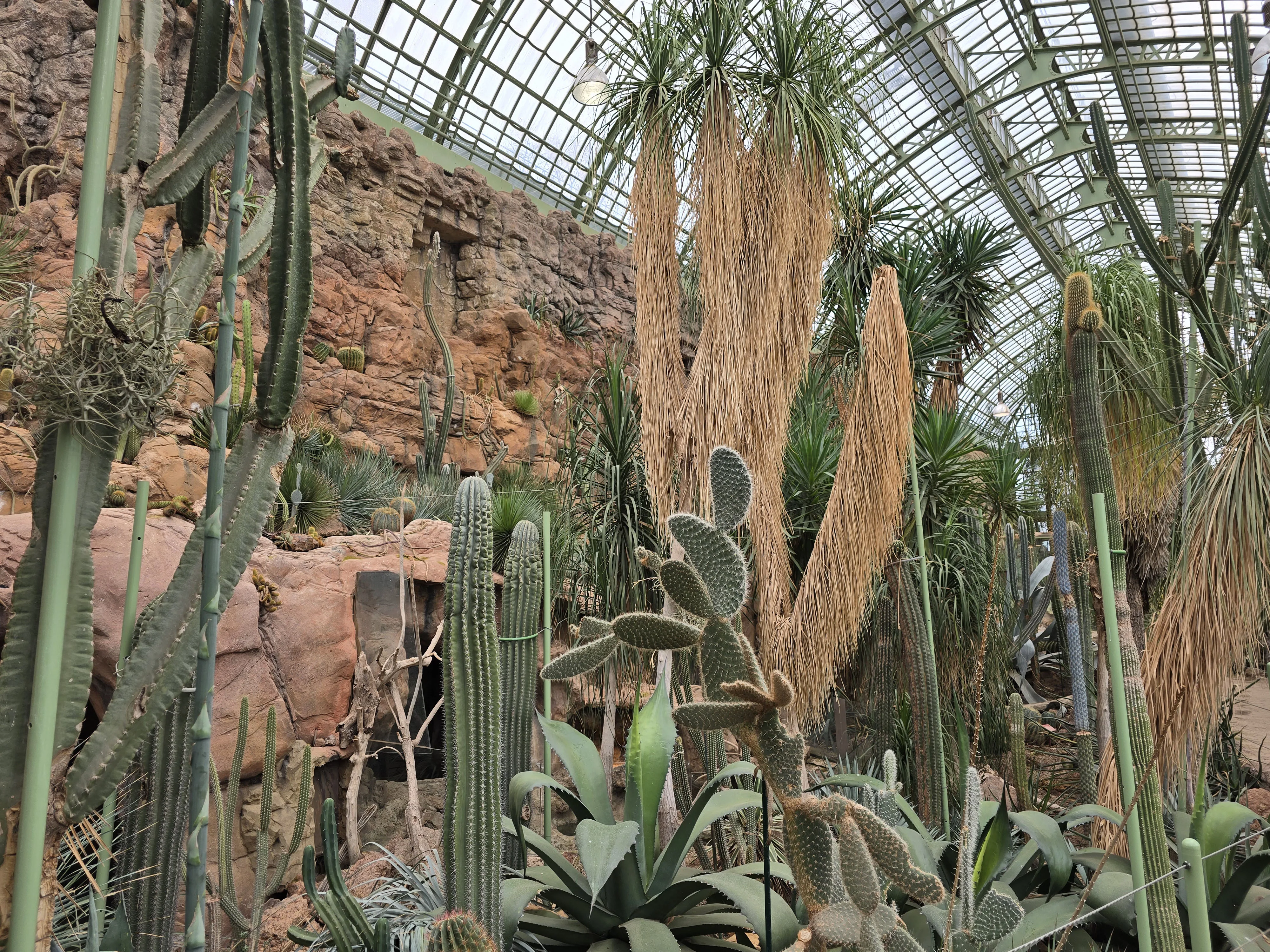 Palmenhaus