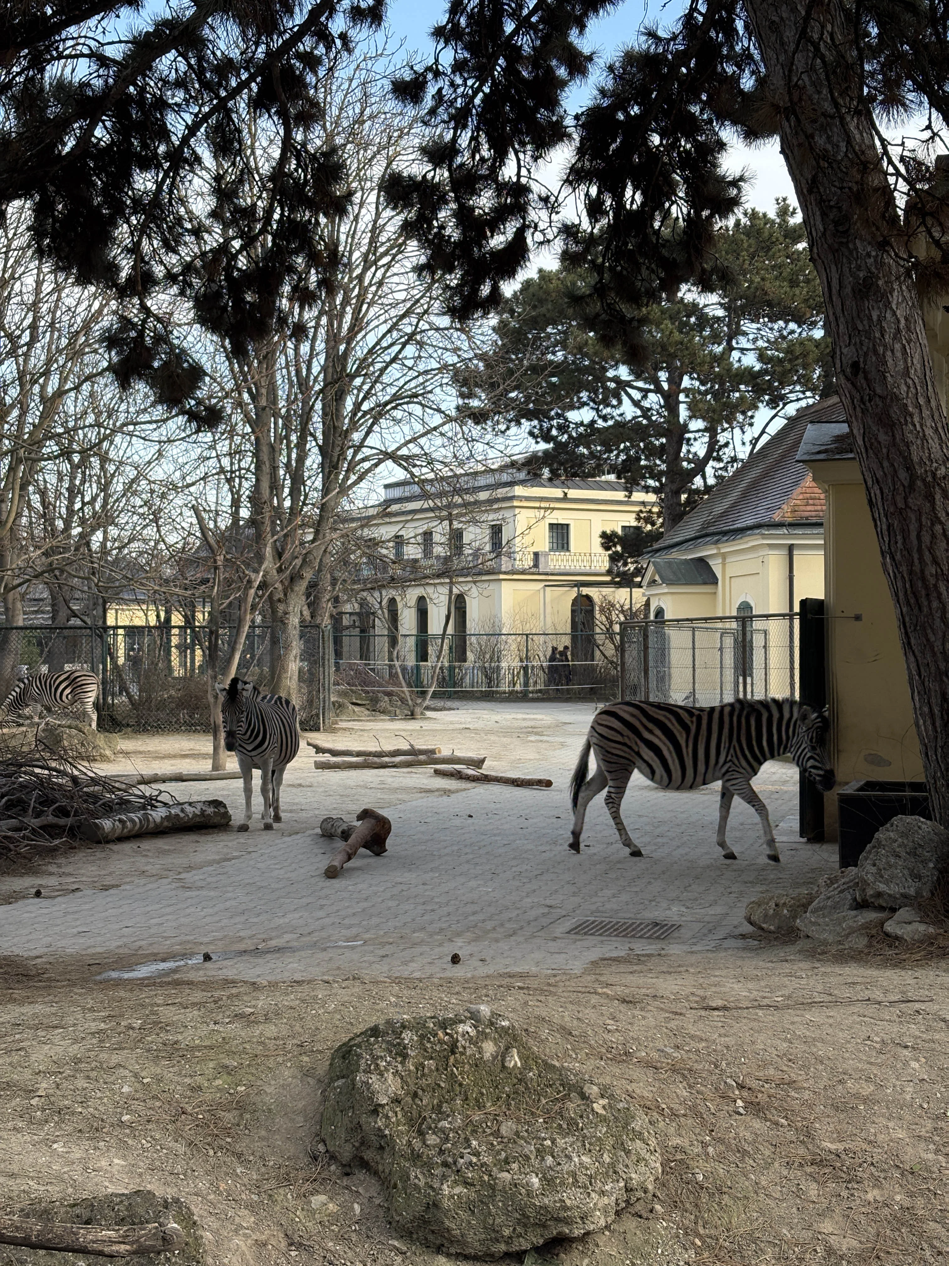 Schönbrunn Zoo