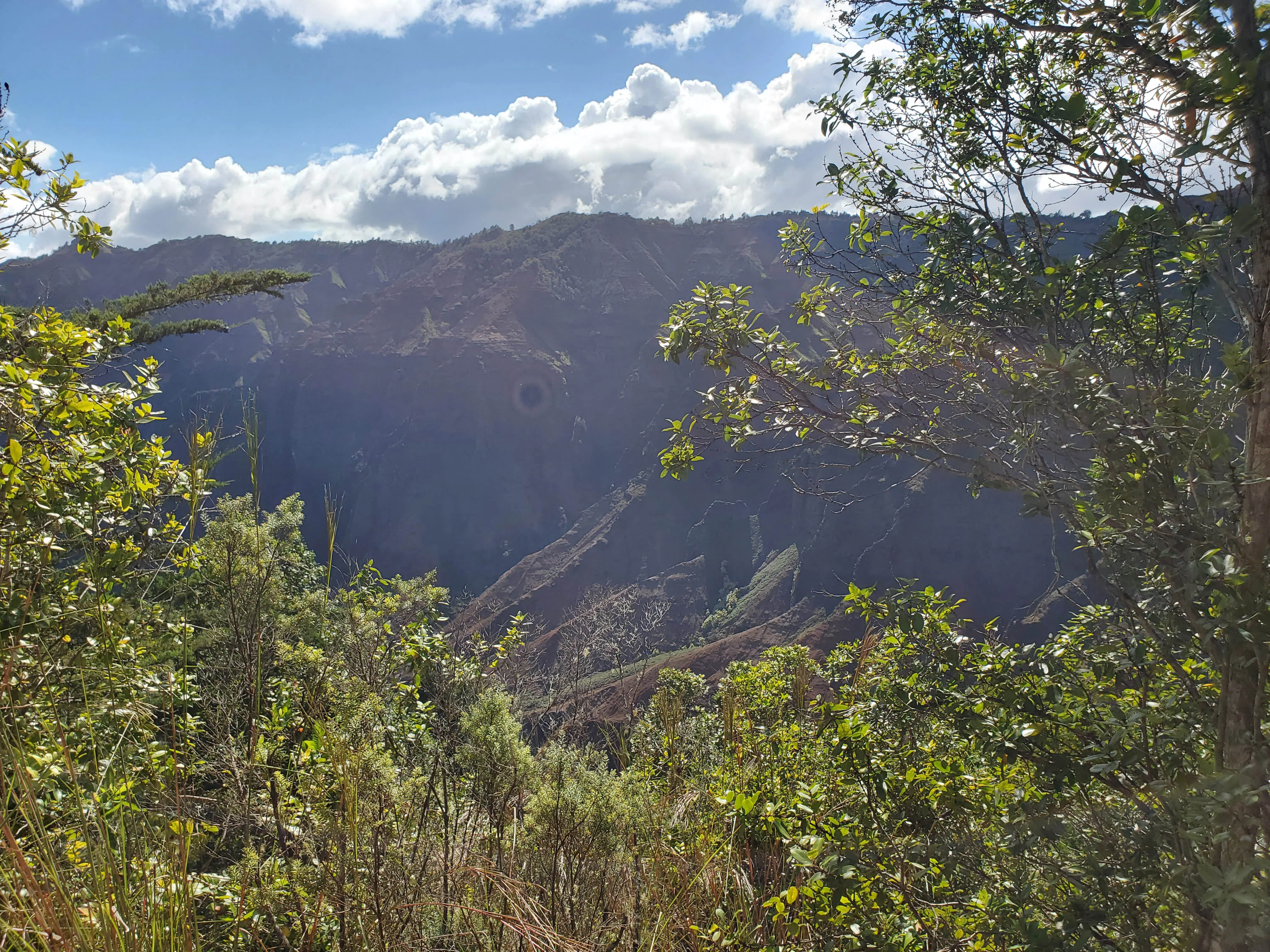 Waimea Canyon
